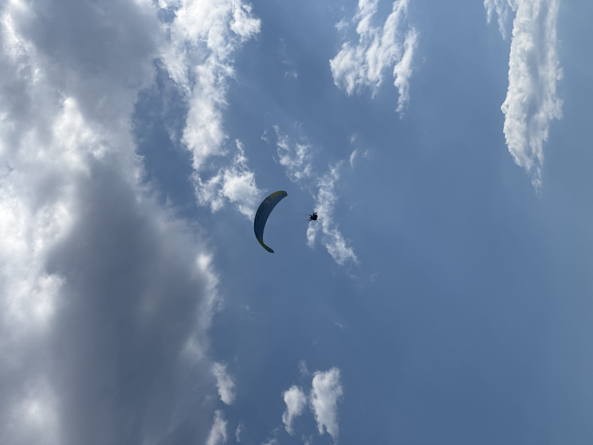 The image, taken in Boreti, Montenegro, shows a paraglider soaring against a backdrop of blue sky punctuated with cumulus clouds. The paraglider is positioned near the center of the frame, with a distinct, curved wing above the silhouette of the person suspended below. The sky transitions from a deep blue to lighter shades, with clouds ranging from bright white to darker grey formations.