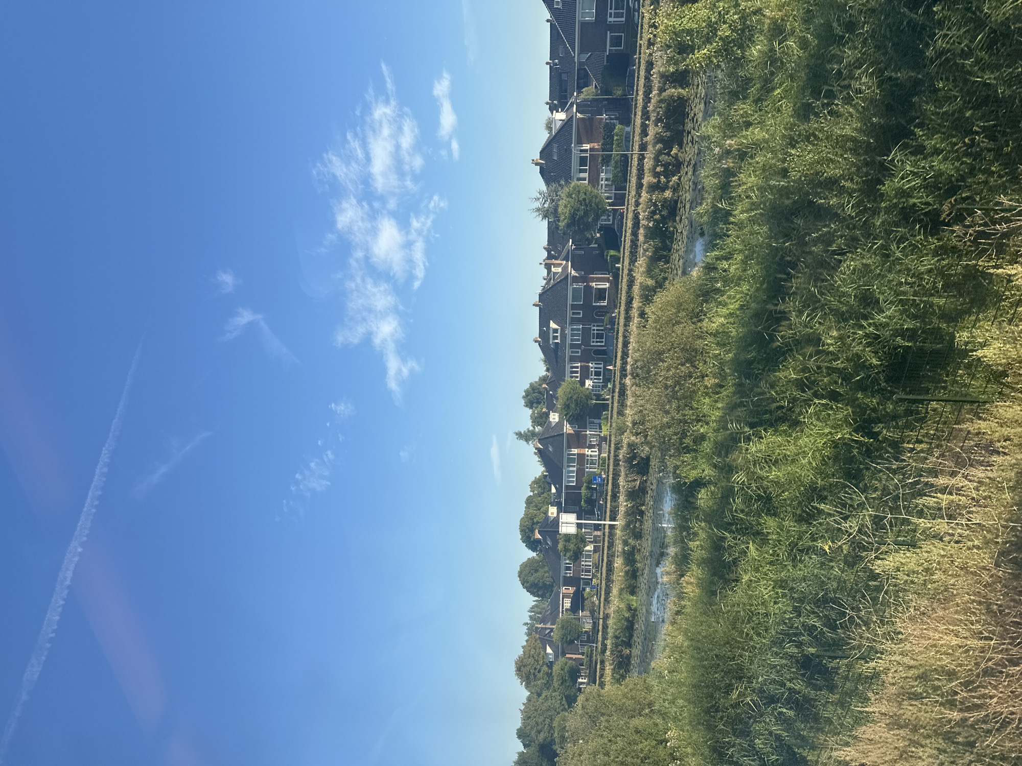 The image captures a serene daytime view of a residential area in Halfweg, Netherlands, with a clear blue sky dotted with thin clouds and a prominent contrail. The foreground is dominated by lush, dense green vegetation, including tall grasses and reeds, bordering a calm body of water. Beyond the vegetation, a row of attached residential houses with dark tiled roofs and brick exteriors is visible, set against a backdrop of mature green trees. A narrow paved area or street runs in front of the houses, with some parked vehicles and streetlights. The overall scene conveys a peaceful, suburban atmosphere.
