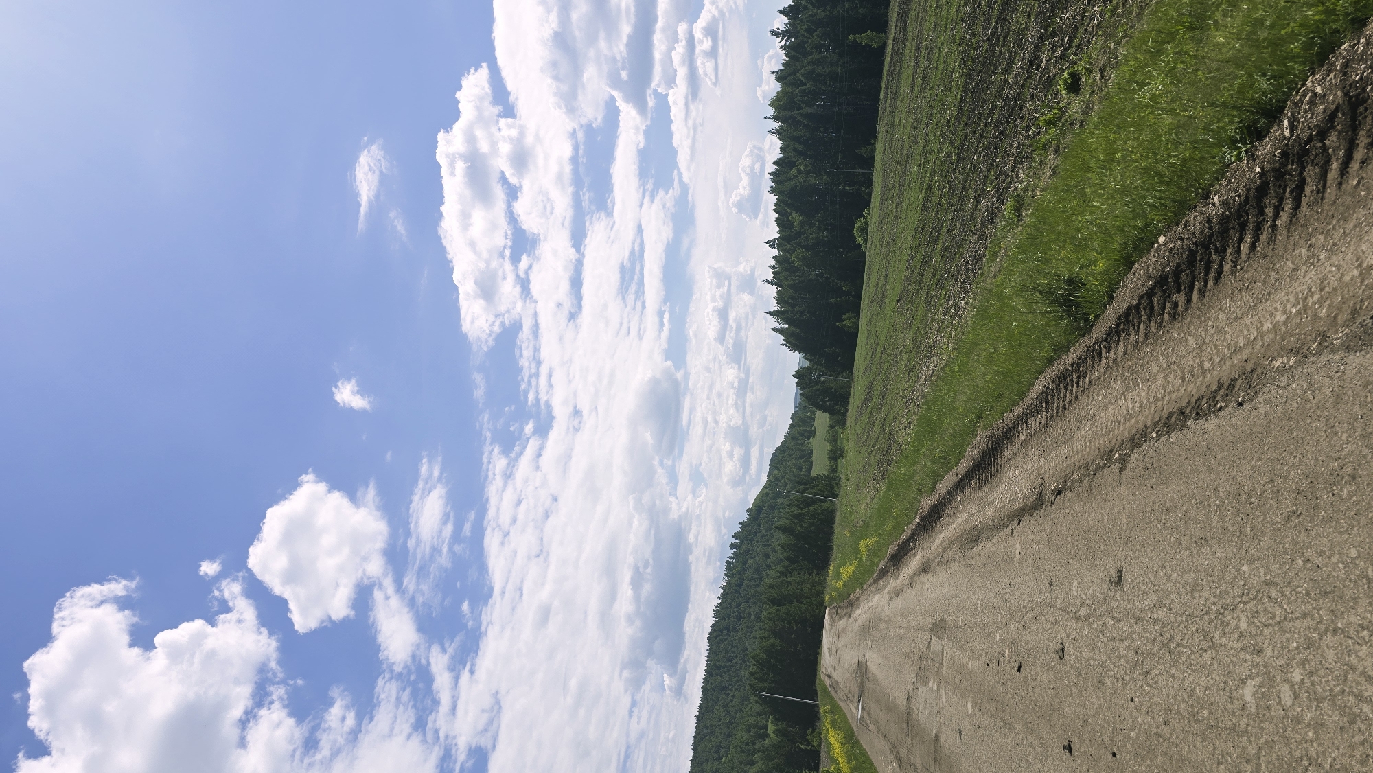 The image depicts a rural landscape with a dirt road leading into a wooded area. The road is visible in the foreground, curving to the left and extending into the distance. To the right of the road is a freshly tilled field, with rows of dark soil contrasting with the surrounding green grass. In the background, a dense forest covers a rolling hill, with a clear blue sky and scattered white clouds overhead. The scene appears to be in the city of Kzyl-Chishma, Russia, based on the provided context. There are no people or animals visible in the image. The overall impression is one of a serene and undeveloped natural setting.