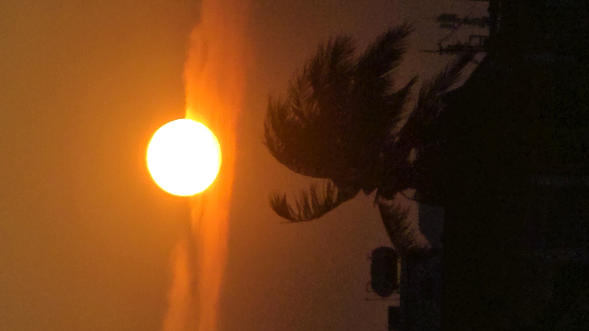 The image shows a bright sun setting in Nha Trang, Vietnam, with a palm tree silhouette in the foreground. The sky is a hazy orange color. Buildings are faintly visible in the background.