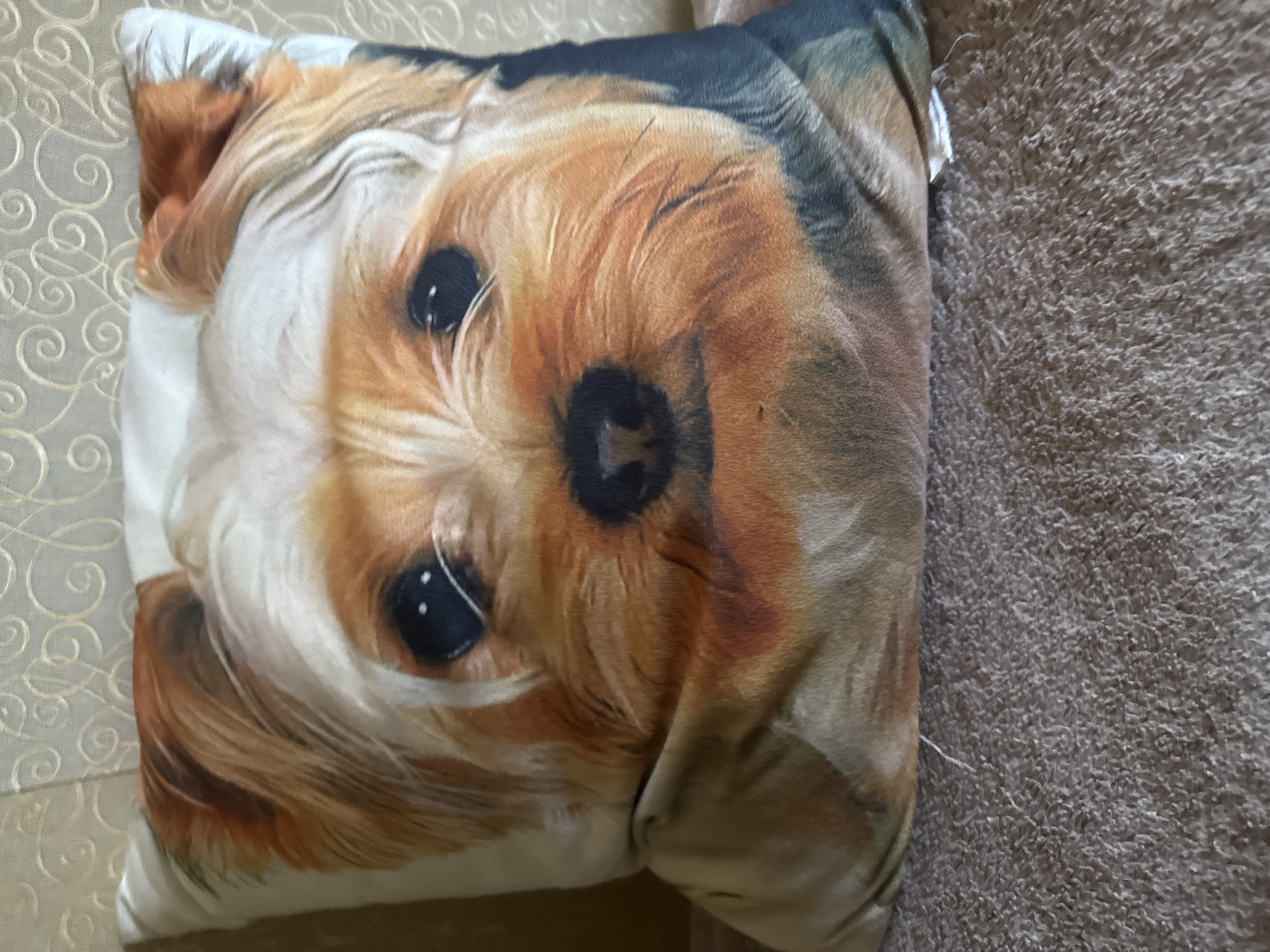 A close-up, eye-level shot features a pillow with a photorealistic image of a Yorkshire Terrier's face. The pillow is situated on a textured, brown surface, possibly a sofa or rug. The background behind the pillow shows a light-colored, patterned fabric, likely wallpaper. The lighting appears to be natural, coming from above and to the left, casting subtle shadows. There is no visible human presence or interaction in the image. The scene is indoors, in what appears to be a domestic setting. The specific location in Rudamina, Lithuania, is not discernible from the visual information provided.