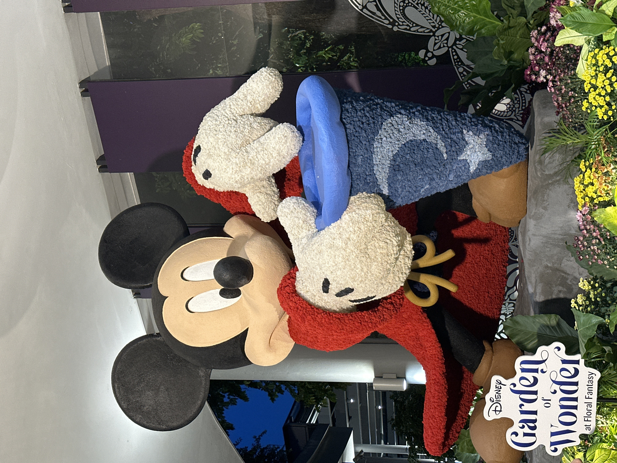 This is a medium shot of a large Mickey Mouse floral sculpture at the "Disney Garden of Wonder at Floral Fantasy" in Singapore. The sculpture depicts Mickey Mouse wearing a red cape and holding a blue bucket decorated with a crescent moon and stars. The sculpture is surrounded by lush greenery and colorful flowers, including yellow and pink chrysanthemums. The background features dark purple panels and trees, suggesting an indoor or covered outdoor space with a nighttime or twilight setting. The "Disney Garden of Wonder at Floral Fantasy" logo is visible in the lower left corner of the image.