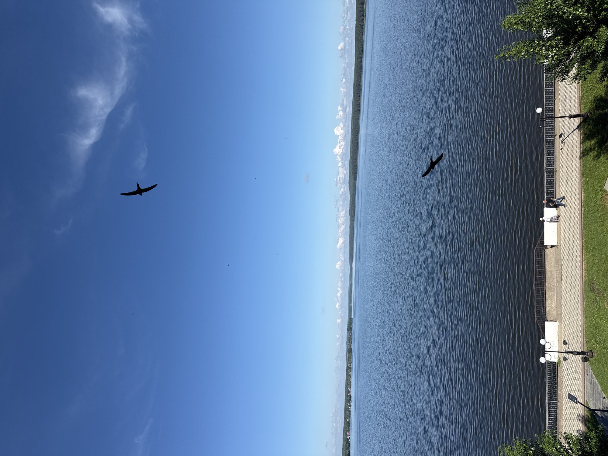 The image, correctly oriented, presents a scenic view of a wide body of water, likely a lake or reservoir in Votkinsk, Russia, under a clear blue sky.
In the foreground, on the right side, there is a paved promenade or embankment with a distinctive black and white checkered pattern. A black lamppost with two spherical white lights stands on the path, alongside a white bench. A black metal railing separates the walkway from the water. Two individuals are seated on this bench, facing the water. Adjacent to the paved area is a strip of vibrant green grass, with the leafy branches of a tree extending into the upper right corner of the frame.
The expansive body of water, displaying gentle ripples on its surface, dominates the left and central portions of the image. In the distance, a faint treeline marks the opposite shore, with hints of structures or buildings visible along it.
Above the horizon, a bright, clear blue sky fills the upper part of the image. A few wispy white clouds are visible in the upper left section of the sky. Two birds are captured in flight: one silhouetted against the sky in the upper left, and another, also silhouetted, flying lower over the water in the mid-left.
The scene depicts a sunny day, indicating pleasant weather. The overall impression is one of calm and natural beauty along a developed waterfront. No discernible text is visible in the image.