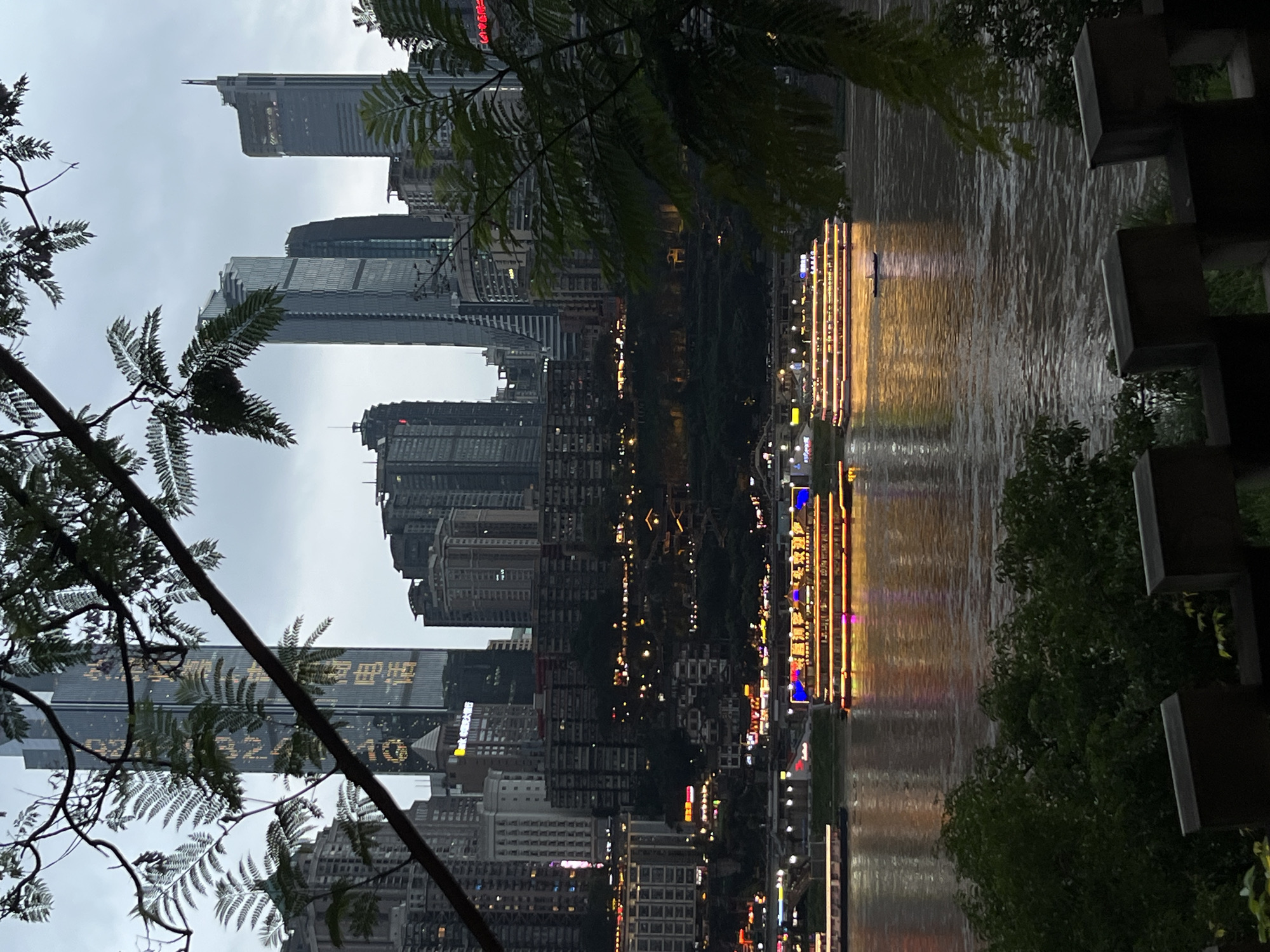 The image shows a cityscape in Yuzhong District, China, likely taken from a riverside location. High-rise buildings, some displaying illuminated signage in Chinese characters, dominate the skyline. A body of water, possibly a river, reflects the city lights and the illuminated buildings lining the waterfront. Trees with fern-like foliage are visible in the foreground, framing the urban scene. On the right, some concrete structures are visible. Overall the image suggests an urban environment at night or dusk in Yuzhong, with a mix of modern architecture and natural elements.