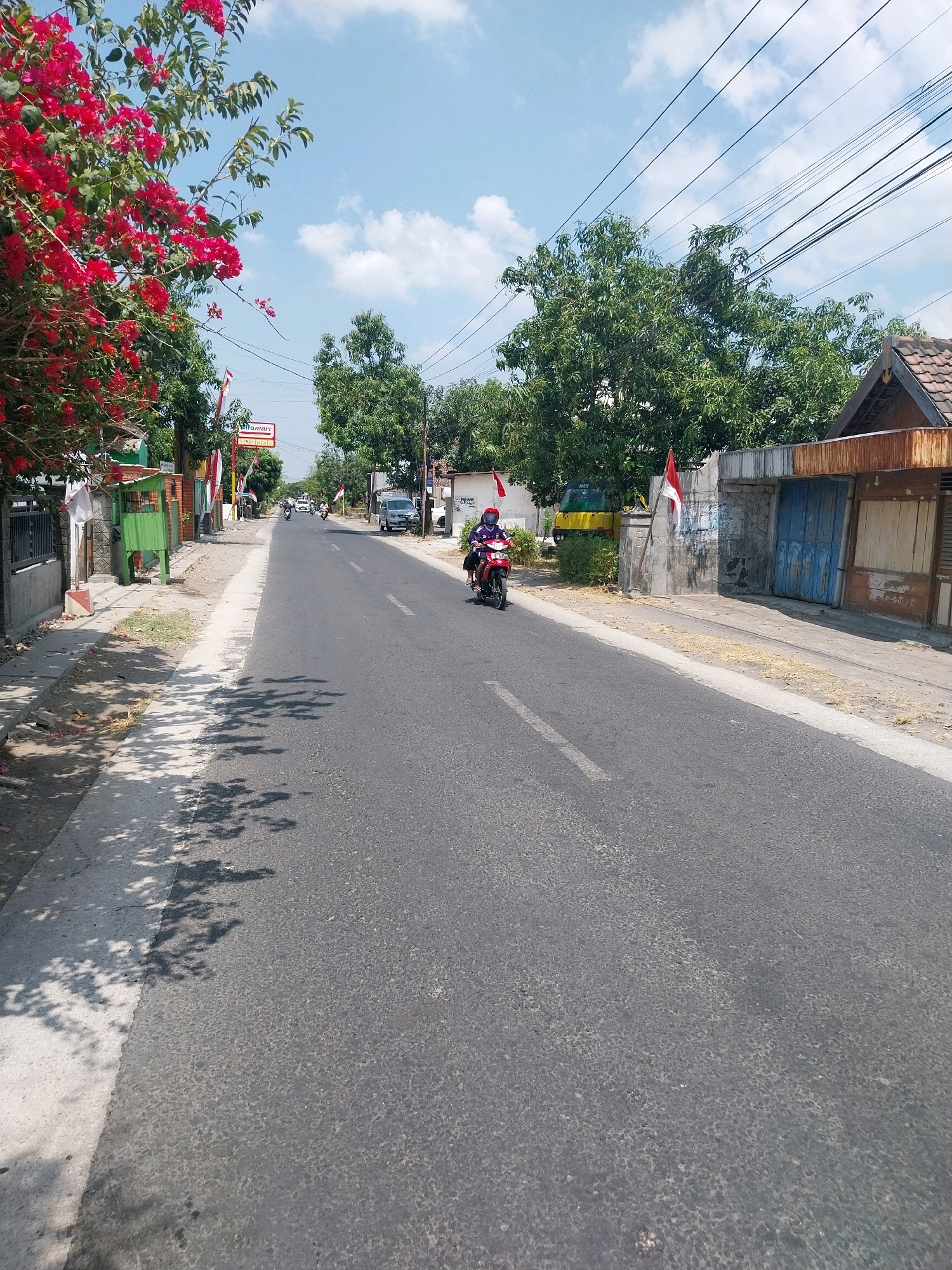 The image depicts a street scene in Campur, Indonesia. The road, paved with asphalt, is in the foreground and extends into the distance. On the right side of the road, there are buildings with weathered facades and blue metal doors, suggesting a commercial or industrial area. Several Indonesian flags are visible, one prominently displayed on a pole in front of a building. Trees line the street, providing shade. On the left side, a sidewalk runs alongside the road, bordered by a fence and lush red flowers. A green structure, possibly a small kiosk or booth, is situated on the sidewalk. In the middle ground, a person is riding a motorcycle, wearing a helmet and a purple and white jacket. Further down the road, other vehicles, including cars and motorcycles, are present. The sky is blue with scattered white clouds. The overall impression is of a typical sunny day in a moderately populated area of Indonesia.