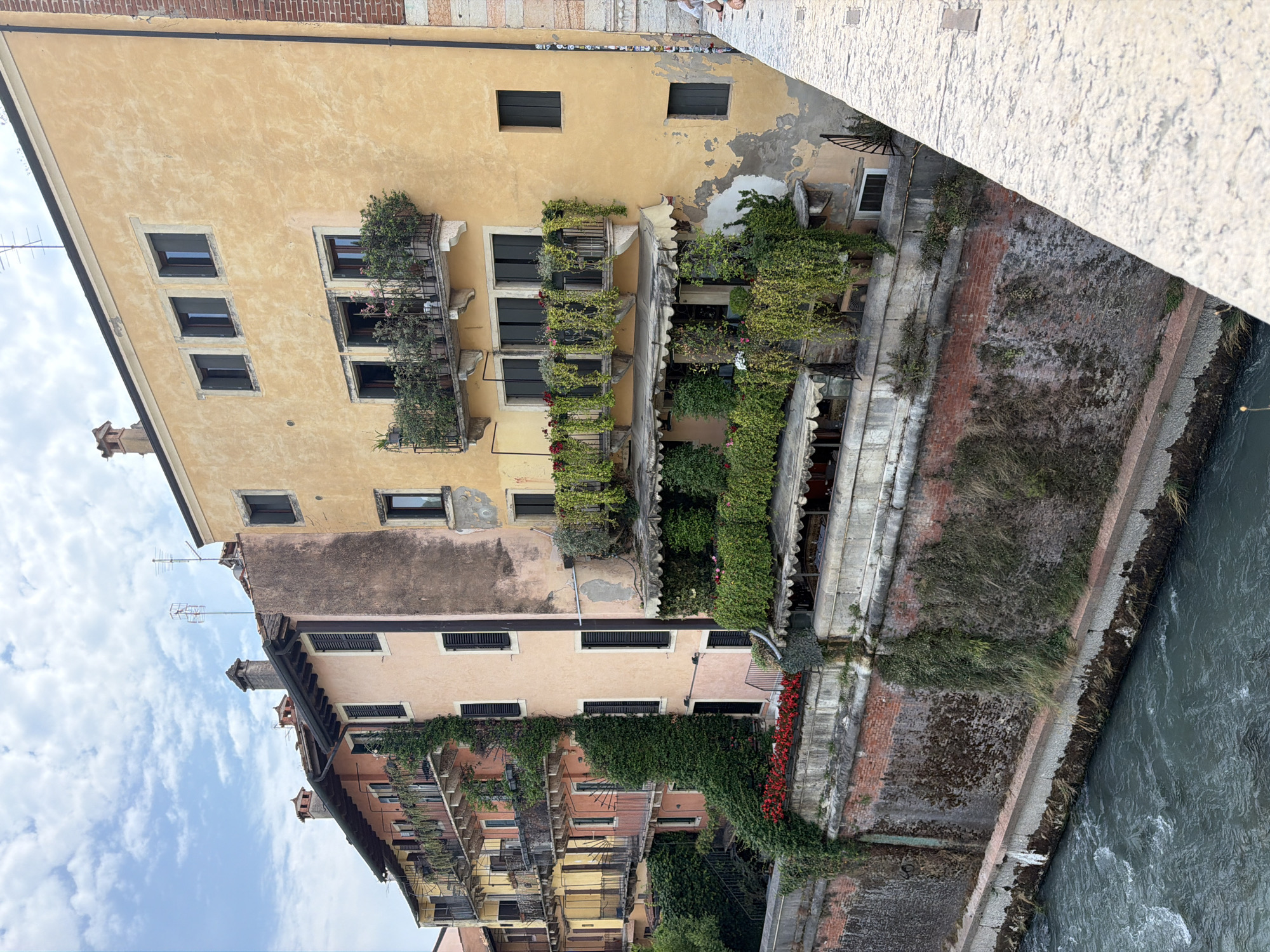This is a full-shot, eye-level, outdoor photograph of buildings lining a canal in Verona, Italy. The buildings, which appear to be apartments or hotels, are multi-story structures with balconies overflowing with greenery and flowers. The architecture is rustic, with stucco facades in various shades of yellow, orange, and pink, some showing signs of age and weathering. Chimneys are visible on the rooftops, and some windows have dark shutters. The canal in the foreground is dark blue-green with visible ripples, suggesting a slight current. The canal walls are constructed with brick and stone, with more vegetation growing on them. The sky is partly cloudy with white clouds scattered against a light blue background. The overall impression is one of old-world charm and vibrant plant life integrated into the urban landscape.