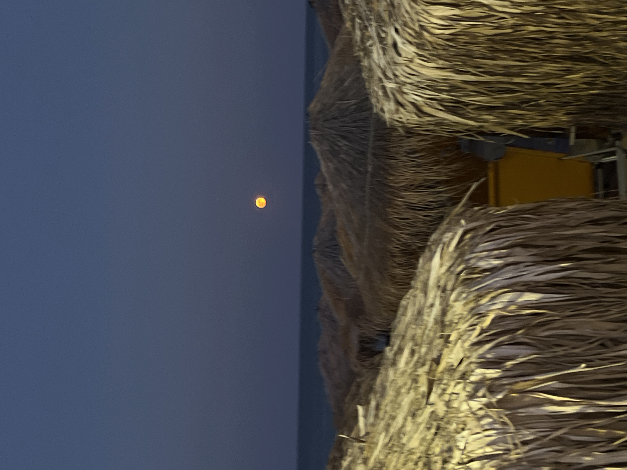 The image captures a serene twilight scene on a beach in Toroni Municipal Unit, Greece. In the foreground, several thatched beach umbrellas are visible, their dry, straw-like material creating a textured, warm-toned barrier. The umbrellas are densely packed, suggesting a public beach area. Behind them, the calm sea stretches towards the horizon, meeting a deep blue, twilight sky. High in the sky, a bright, round, orange moon is prominently displayed. The overall atmosphere is peaceful and tranquil, indicative of the end of the day. No people are discernible in the image.