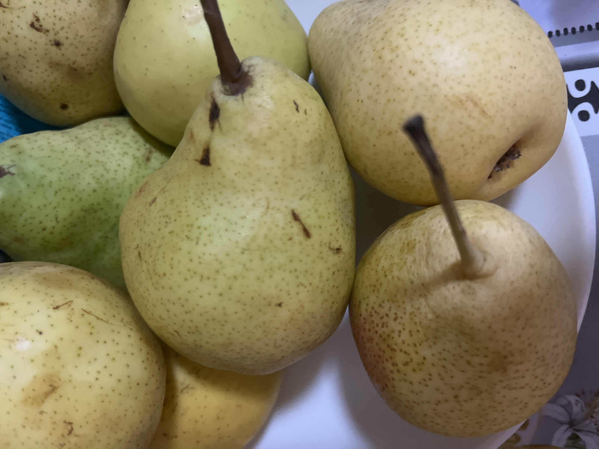 The image shows a close-up of several ripe pears piled together on a white surface. The pears are mostly yellow with some green undertones and have a scattering of small brown dots across their skins. Some of the pears have their stems still attached. The lighting suggests an indoor setting. The specific location of Krasnyye Barrikady, Russia is not discernible from the visual information in the image.