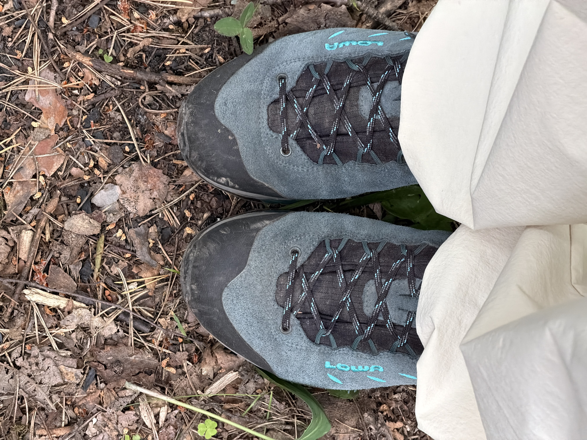The image shows a pair of grey and black hiking boots with teal laces, worn by an unseen person, standing on a forest floor covered in leaves, twigs, and pine needles. The ground is uneven and natural. There are a few small green plants visible, including a clover leaf on the left side. The boots are laced up and appear to be in good condition. The lighting suggests it is daytime, likely overcast or in a shaded area given the soft shadows. The scene is consistent with a natural outdoor environment.