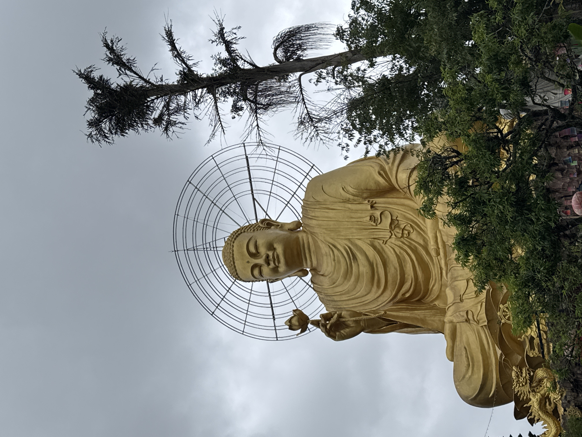 The image features a golden Buddha statue in Lâm Viên - Đà Lạt, Vietnam. The statue is depicted from a low angle, making it appear towering. The sky is overcast. Two trees frame the statue: a tall tree with sparse, bare branches on the left and a lush green tree on the right. A large, circular metal halo or nimbus surrounds the head of the Buddha. The statue holds a lotus flower in its left hand. Intricate detailing and a golden dragon adorn the statue's base.