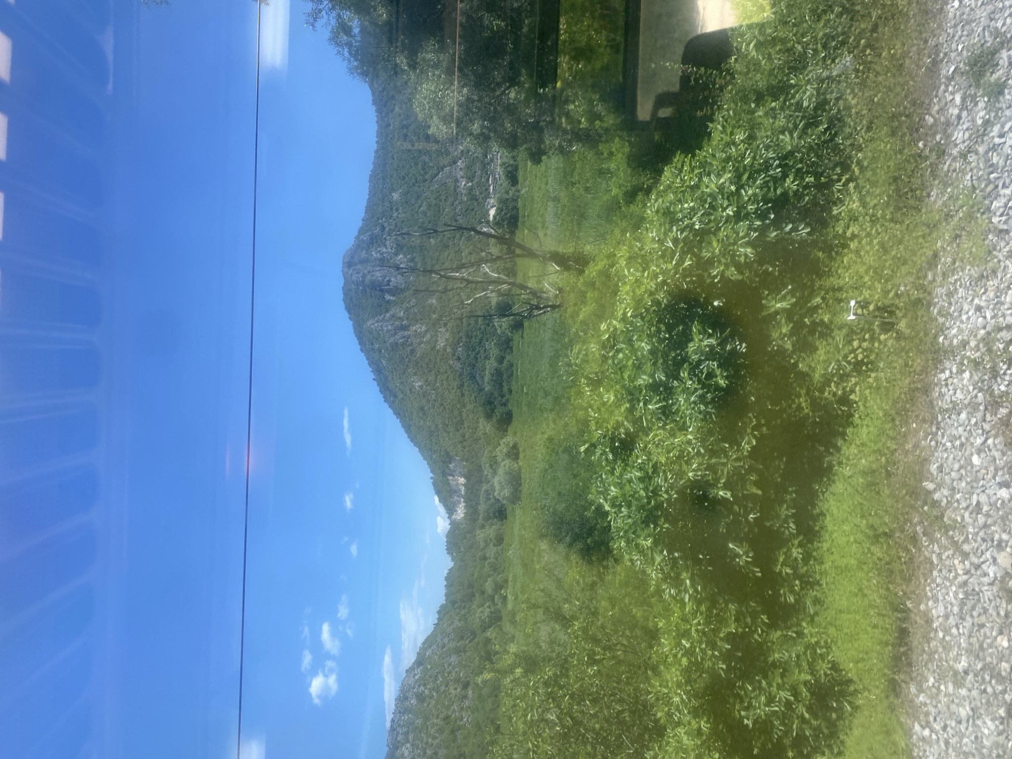 An outdoor, eye-level, vertical shot shows a bright, sunny day in Virpazar, Montenegro. The scene is dominated by lush green vegetation and a large mountain in the distance, under a clear blue sky with a few scattered clouds. In the foreground, a gravel-covered area suggests a train track or roadside. Dense bushes and trees fill the lower half of the frame, their leaves vibrant green. Beyond this, a wide, flat field of green grass stretches towards the base of a imposing, rocky mountain covered in trees. The mountain is the central focal point of the mid-ground. The sky is a brilliant blue, with a subtle suggestion of overhead reflections from a glass surface, possibly a train window. A thin dark line, likely a cable or wire, runs horizontally across the sky. The overall impression is one of natural beauty and tranquility.