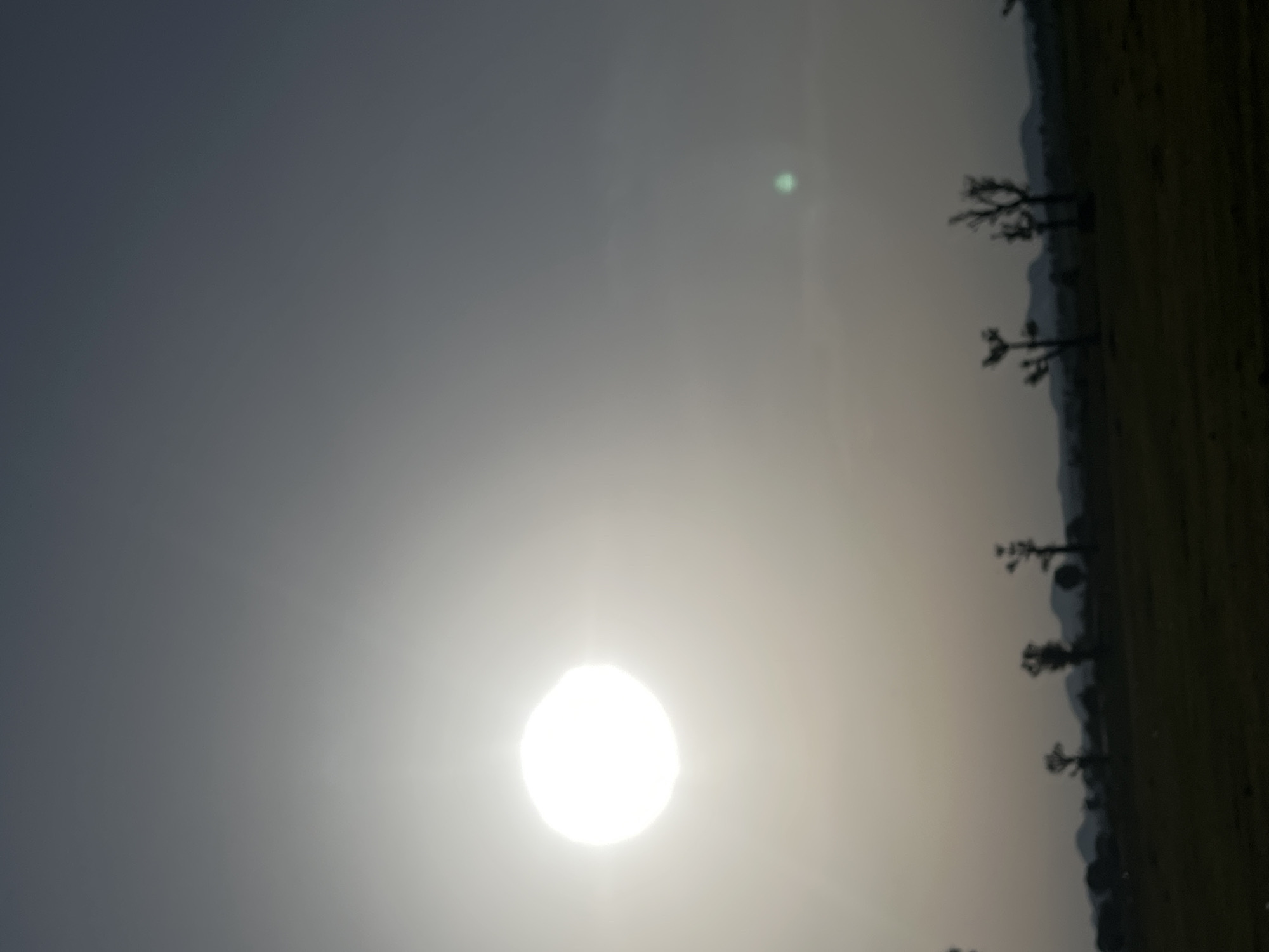 The image depicts an outdoor landscape scene at either sunrise or sunset in Bauchi, Nigeria, characterized by strong backlighting. A very bright, near-white circular sun, partially diffused by atmospheric haze, dominates the upper-left quadrant of the frame. The sky transitions from a brilliant white immediately around the sun, through shades of light grey, to a darker blue-grey in the upper-right. A distinct greenish circular lens flare is visible in the upper-right area of the sky. The lower portion of the image shows a dark, underexposed foreground, appearing as a field or scrubland. Across the midground, several sparsely branched or bare trees are silhouetted against the lighter horizon and sky. In the distant background, low, undulating hills or mountains are visible as dark silhouettes. No people, animals, or specific activities are discernible.