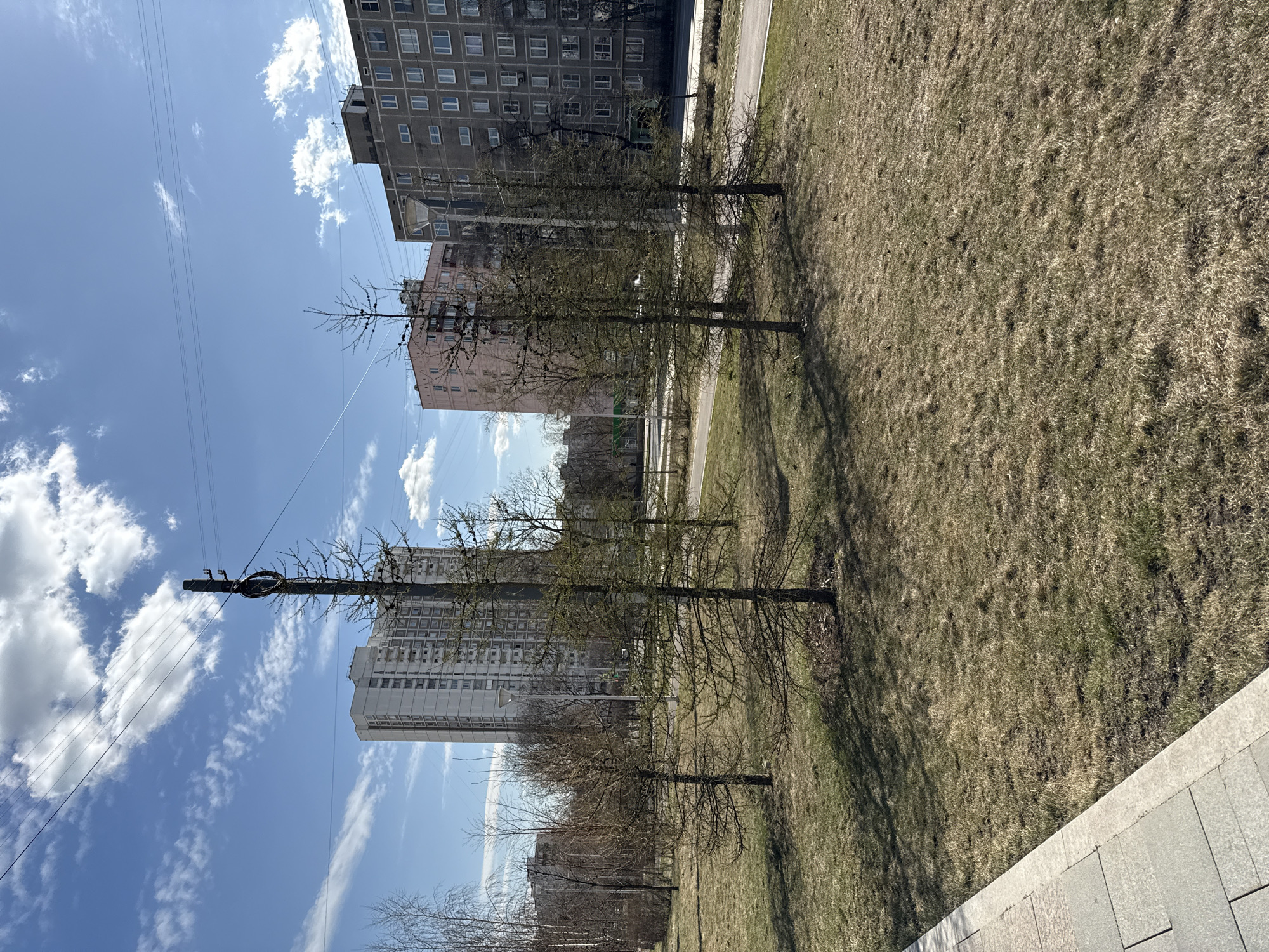 The image captures a view of a residential area in Moscow, Russia, characterized by a combination of natural and urban elements. In the foreground, there is a patch of dry, dormant grass suggesting early spring or late autumn. A row of leafless trees stretches across the middle ground, casting long shadows across the field. Behind these trees, several tall apartment buildings are visible, showcasing typical Soviet-era architecture. An electrical pole with wires cuts through the sky in the upper left, and a blue sky with scattered clouds forms the backdrop.