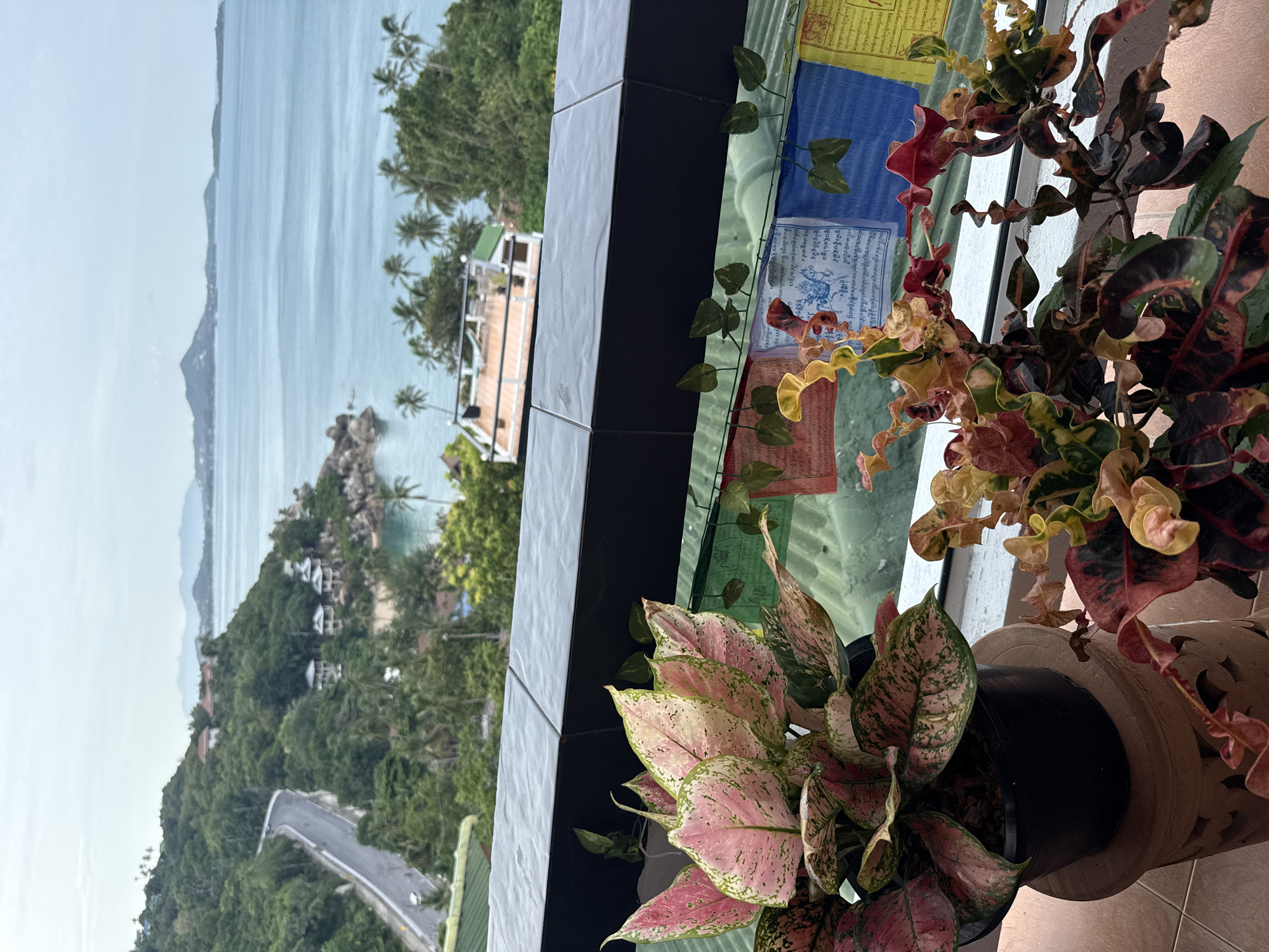This is a high-angle, eye-level, close-up shot of a balcony overlooking a tropical coastline. In the foreground, two potted plants are visible: one with large, pink and green variegated leaves, and another with smaller, curly leaves in shades of red, yellow, and green. Behind the plants, prayer flags are strung across the balcony railing. Beyond the balcony, a lush green hillside slopes down to the sea. A winding road is visible on the hillside, with a few houses nestled among the trees. The ocean stretches to the horizon, where distant islands and mountains can be seen. The sky is overcast. The scene is likely from the Ko Samui District of Thailand, given the vegetation and architecture.