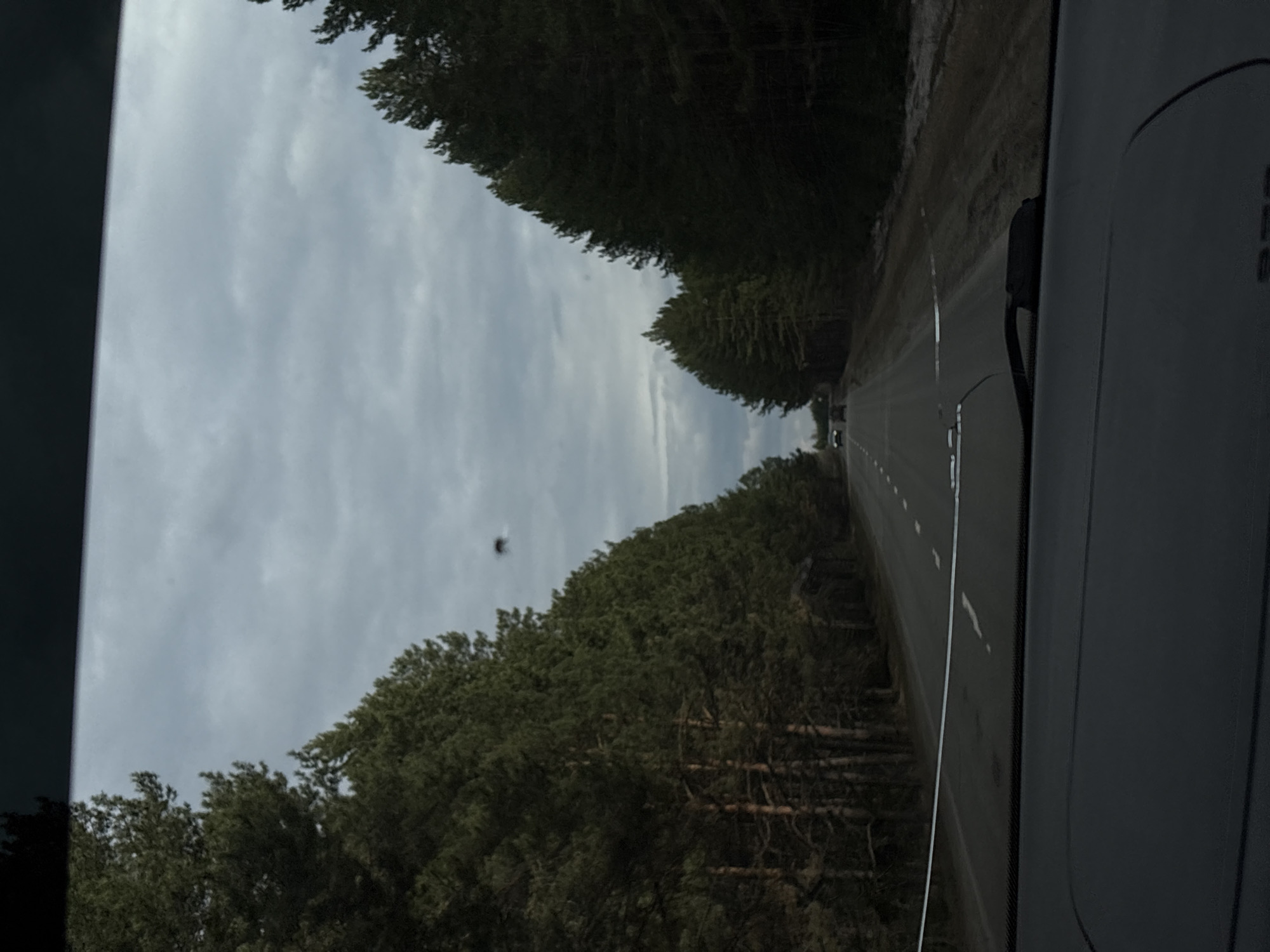 The image captures a view from inside a moving vehicle traveling on a road through a dense forest under an overcast sky. The primary subject is a paved road stretching into the distance, marked with white dashed lines indicating lanes. On both sides, the road is bordered by a thick coniferous forest with tall, dark green trees.
The sky above is filled with light grey, unbroken clouds, suggesting an overcast day with diffused lighting. A prominent, dark, and blurry object, possibly an insect flying close to the lens or a smudge on the windshield, is visible against the sky in the upper-middle portion of the frame.
On the right side of the image, a dark grey interior panel of the vehicle is visible, likely part of a door or dashboard. A small, black, curved component, possibly a side mirror housing or a trim piece, is also seen attached to this panel. There is some indistinct lettering or branding on the grey panel, but it is not clearly legible.
Faint outlines of other vehicles can be discerned in the far distance on the road, indicating light traffic. The scene depicts travel through a rural or semi-rural forested area near Zabegalovo, Russia, during daytime hours.