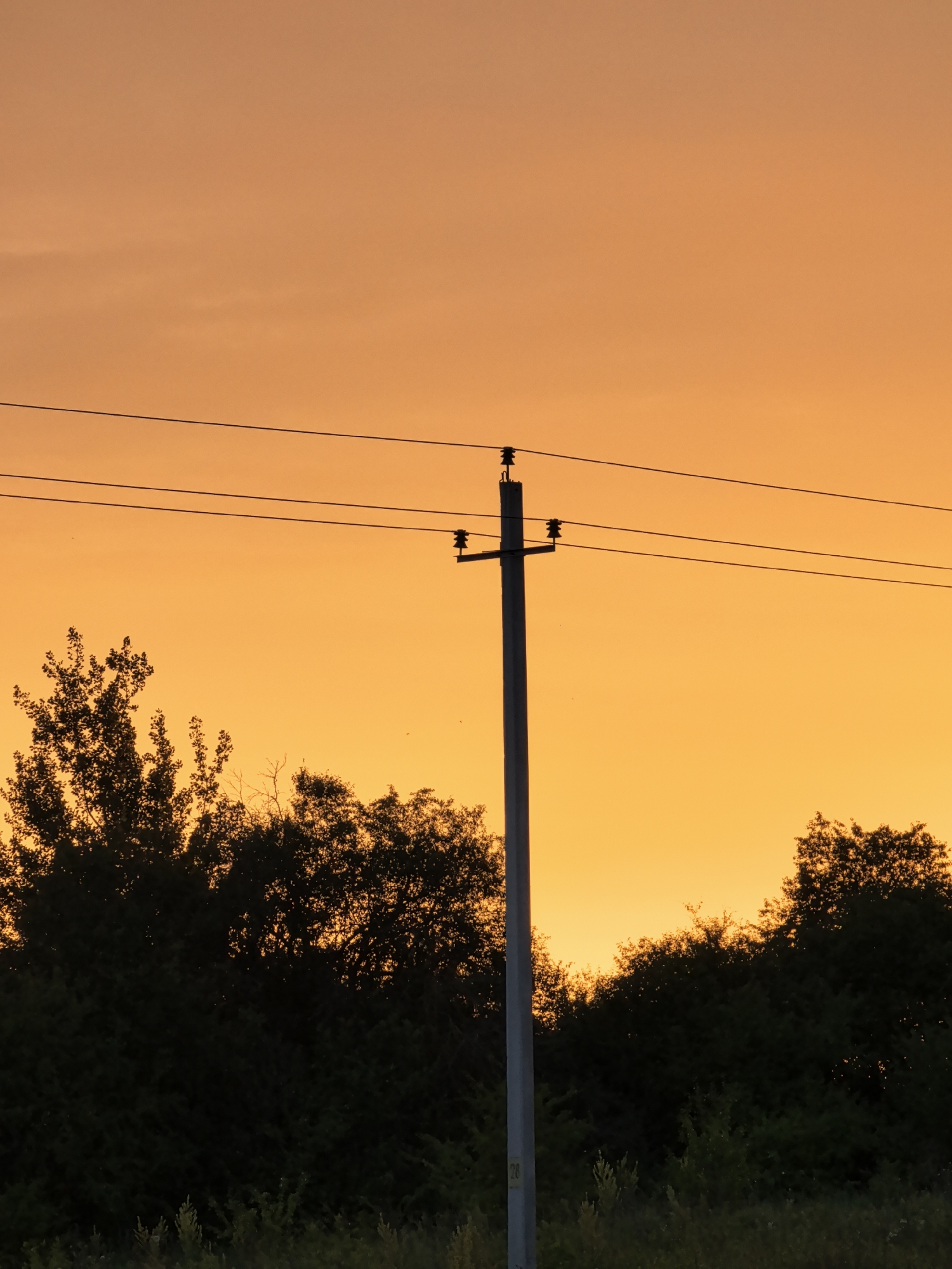 A silhouette of a power line pole stands centrally in the frame against a vibrant, hazy orange sky, indicative of either sunrise or sunset. Three parallel power lines stretch horizontally across the upper portion of the image, supported by insulators attached to the pole.
Dark silhouettes of trees and foliage form a dense band across the lower third of the image, with the tree canopy creating an uneven, jagged horizon against the bright sky. The trees on the left are taller and more prominent, while those on the right are lower and more spread out. A faint, almost imperceptible scattering of tiny dots, possibly distant insects or dust motes, are visible against the sky.
The overall mood is tranquil and serene, evoking the quiet beauty of twilight. There is no visible text in the image. The scene appears to be a rural or semi-rural setting. The weather appears clear, with the striking color of the sky being the dominant atmospheric element.