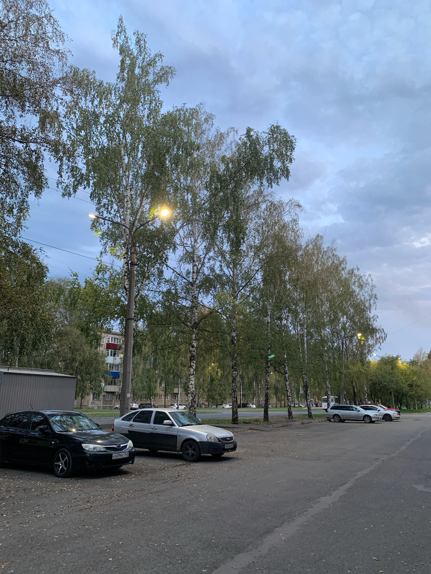 The image shows a street scene in Prokopyevsk, Russia. In the foreground, a black Subaru Impreza is parked on the left, facing the viewer. To its right, a silver Lada sedan is parked, also facing away from the viewer. Several other cars are visible further down the street, parked in a row. A line of birch trees with green foliage runs along the left side of the street, with streetlights visible amongst the trees. In the background, apartment buildings can be seen. The sky is cloudy, and the lighting suggests it is either early morning or late evening. The ground is paved asphalt and littered with fallen leaves.