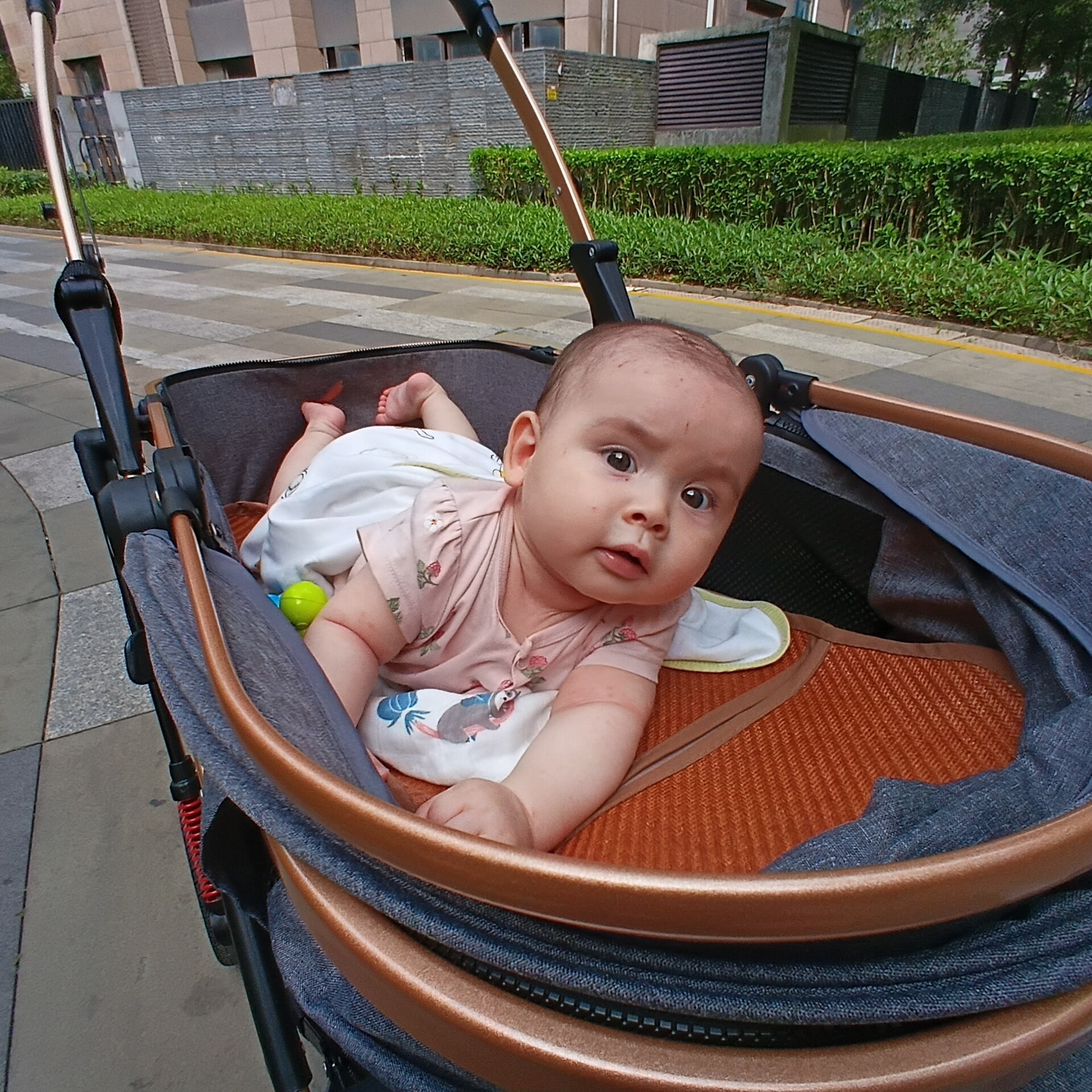 A baby lies in a stroller on a paved walkway next to a hedge and a building. The baby is wearing a light pink shirt with a white covering and is looking forward with both eyes open. The stroller has a copper-colored frame and gray fabric. A green ball rests beside the baby. The background shows a low hedge, a gray building, and a sidewalk. The location is identified as Shunde District, China.