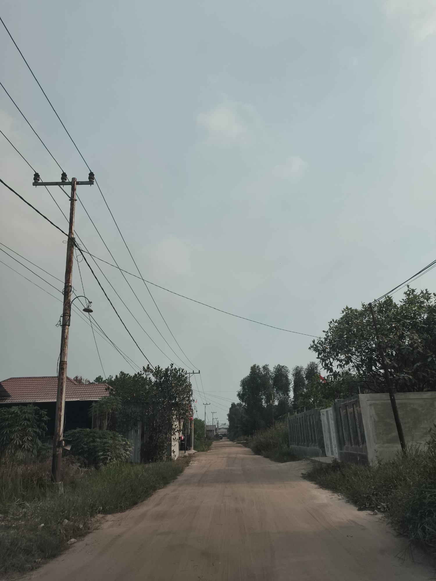 The image depicts a dirt road in a rural or semi-rural area, possibly on the outskirts of Sampit, Indonesia, given the context provided. The sky is overcast with some light clouds, suggesting a hazy or diffused light condition.
On the left side of the road, a wooden utility pole stands tall, adorned with multiple crossarms and insulators, supporting a network of overhead wires. Adjacent to the pole is a building with a reddish-brown tiled roof and a covered open-air section. Dense green foliage, including bushes and larger plants, partially obscures the building and the base of the utility pole.
The road itself is unpaved and appears to be made of reddish-brown soil, showing tire tracks and signs of use. It recedes into the distance, creating a linear perspective.
On the right side of the road, a concrete wall with decorative paneling runs along the property line. Behind the wall, trees with lush green leaves are visible. Further down the road, more trees and vegetation line both sides, interspersed with more utility poles and wires. In the far distance, structures that appear to be houses or buildings are faintly discernible, suggesting a residential area or a path leading towards one.
There are no people visible in the image. The overall scene is one of a quiet, undeveloped or developing area characterized by simple infrastructure and natural elements. The lighting suggests it might be late afternoon or early morning.
