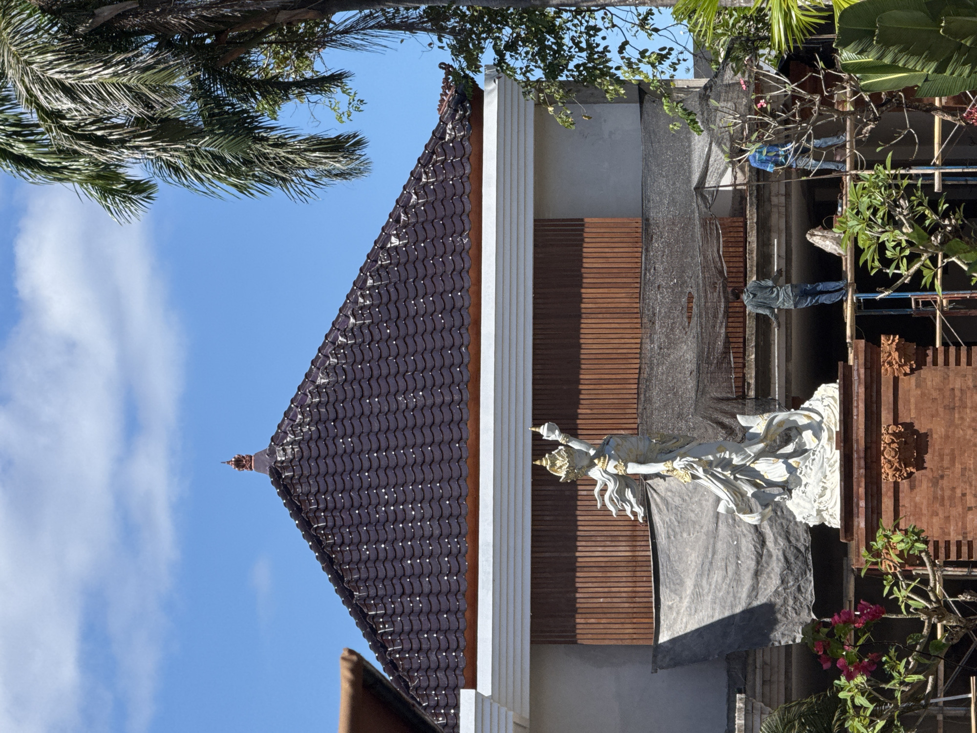 This image captures a vibrant outdoor scene in Denpasar, Indonesia, showcasing traditional architecture, a prominent statue, and ongoing construction under a bright blue sky.
The central feature is a building with a distinctive, steeply pitched brown tiled roof, characterized by its wavy patterns and a small, ornate finial at its peak. The facade below the roof is a light color (white or cream) with vertical grooves, transitioning to a section adorned with horizontal wooden slats in a warm reddish-brown hue.
In front of this building stands an intricate white and gold statue of a graceful figure, possibly a deity or mythical being. The statue displays elaborate details, including flowing hair and garments, and is accented with golden ornamentation. A dark grey tarp is draped around its lower section, suggesting either installation, protection, or ongoing maintenance.
Several individuals, appearing to be workers, are visible in the upper right portion of the image. One wears a blue shirt, and another a grey jacket. They are positioned among metal poles and scaffolding, with a dark mesh netting covering parts of the background, indicating that construction, renovation, or maintenance work is actively underway on the structure or its surroundings.
The scene is framed by lush tropical vegetation, including large palm fronds in the upper left corner and various green plants, some bearing clusters of pink flowers (resembling bougainvillea), scattered around the building and statue. The clear, bright blue sky with a few wispy clouds indicates it is daytime, with strong sunlight casting distinct shadows. No visible text is present in the image.