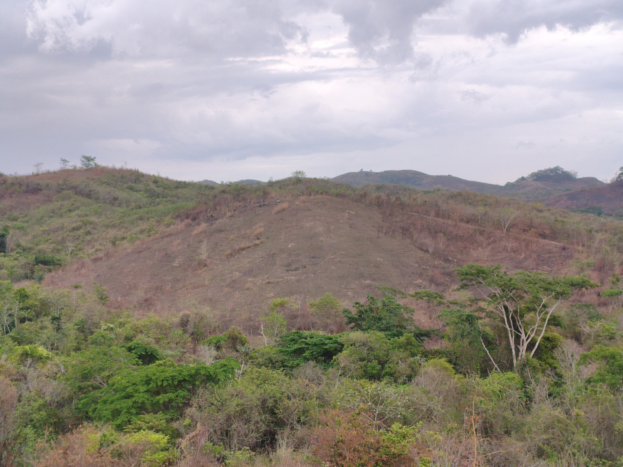 The image depicts a hilly landscape in Tinaquillo, Venezuela, under a cloudy sky. The foreground consists of a mix of green trees and shrubs interspersed with dried, brown vegetation. A large, bare hillside dominates the midground, showing signs of deforestation or land clearing. Some trees and shrubs remain near the edges of this hillside. The background shows additional hills with sparse vegetation. The overall color palette leans towards browns and greens, with the gray sky muting the colors. No people or animals are visible in the image.