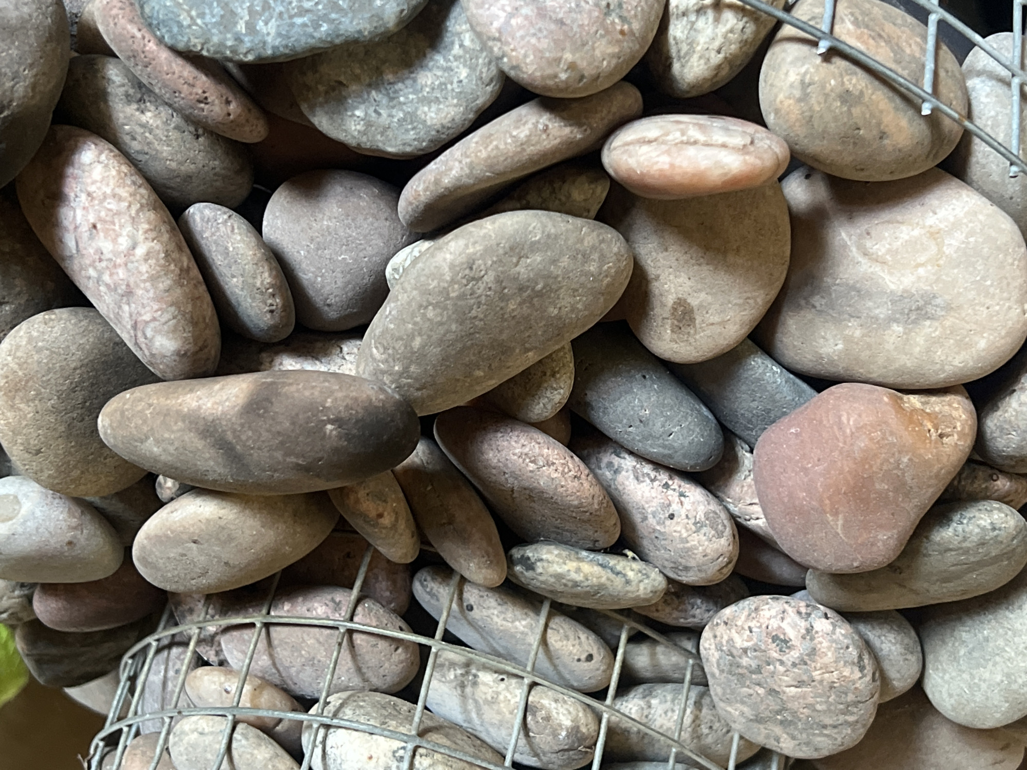 The image shows a close-up view of a collection of various smooth, rounded stones of different sizes and colors, predominantly in shades of gray, brown, and pink. Some stones are larger and ovular, while others are smaller and more elongated. They are densely packed together, suggesting they are contained within a structure, possibly a decorative arrangement or part of a garden feature. A metal mesh cage, made of thin wires, is visible in the upper portion of the image, indicating the stones are contained within it. The lighting is natural, creating soft shadows and highlighting the textures of the stones. The scene appears to be outdoors, given the natural materials and the implied setting. The provided location of Norviliškės, Lithuania, suggests this could be an element within a rural landscape or a garden setting in that region. There are no people or animals present in the image.