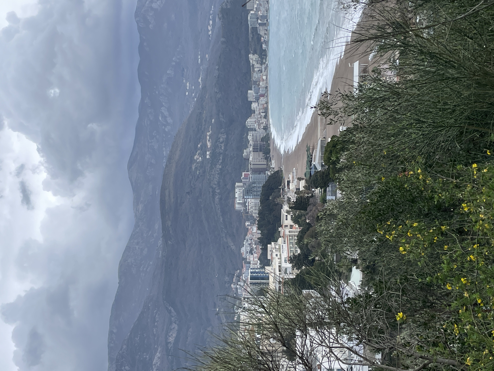 An elevated panoramic view captures the coastal city of Boreti, Montenegro, under an overcast sky. The background is dominated by a range of dark, rugged mountains, receding into a hazy, cool-toned distance. Below the mountains, the urban landscape of Boreti extends along the coastline, characterized by a mix of multi-story buildings, including modern structures with glass facades and traditional white or cream-colored buildings, some with red roofs.
The city transitions to a wide, light brown sandy beach that stretches along the shore. The Adriatic Sea, exhibiting choppy conditions, displays turquoise to greenish-blue water with numerous white-capped waves breaking towards the beach. Visible beach infrastructure includes closed umbrellas and covered structures, appearing largely unoccupied. The immediate foreground is heavily populated with dense vegetation, including leafless branches of a tree on the left, and various green bushes, some bearing small, bright yellow flowers, partially obscuring the lower portions of the city and beach. No individuals or specific activities are distinctly visible within the scene.