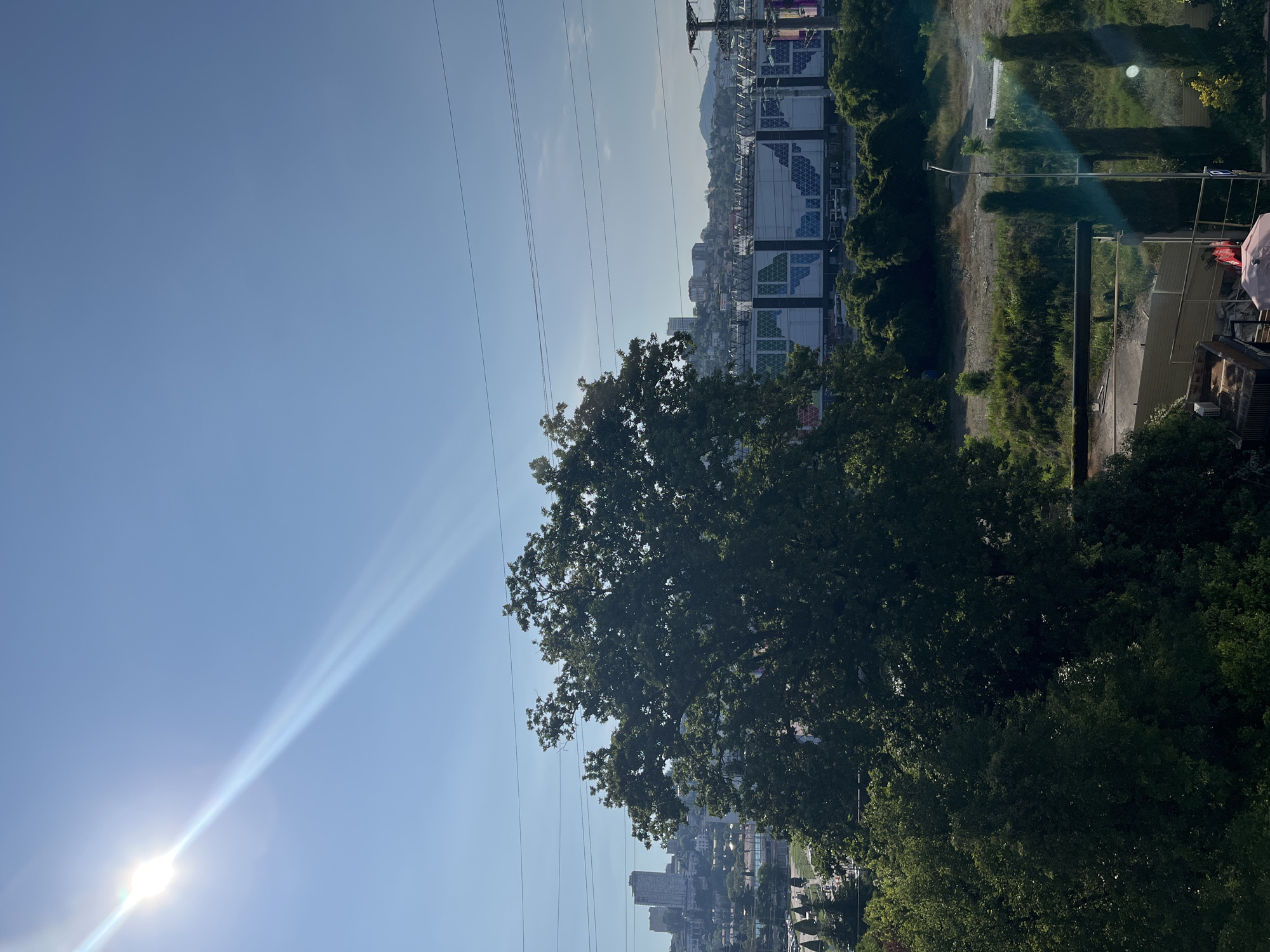In a bright, sunny day in Sochi, Russia, a wide shot captures a clear blue sky with a bright sun creating a lens flare in the upper left corner. Power lines traverse the sky horizontally. In the middle ground, a large, leafy tree dominates the scene, with its branches extending across a significant portion of the frame. Beyond the tree, a sprawling city skyline is visible, characterized by buildings of varying heights, including several tall, modern structures. Further in the background, a large stadium with a distinctive, colorful patterned facade is prominent. The stadium appears to be surrounded by greenery and appears to be an outdoor venue. In the foreground, a less developed area with dry grass and sparse vegetation is visible, along with some fencing and a lamppost. The overall scene suggests an urban environment with a blend of natural elements and modern infrastructure.