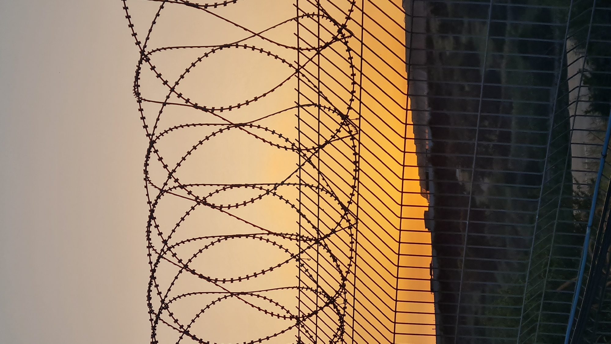 The image depicts a fence with barbed wire in front of a sunset or sunrise, possibly in the Lachish Regional Council, Israel. The barbed wire is coiled and layered, casting a dark silhouette against the warm-toned sky. A wire fence runs parallel to the barbed wire, creating a sense of enclosure or security. In the background, there is a blurry view of greenery or trees. The scene appears to be taken outdoors, likely during the early morning or late evening when the light is soft and golden.