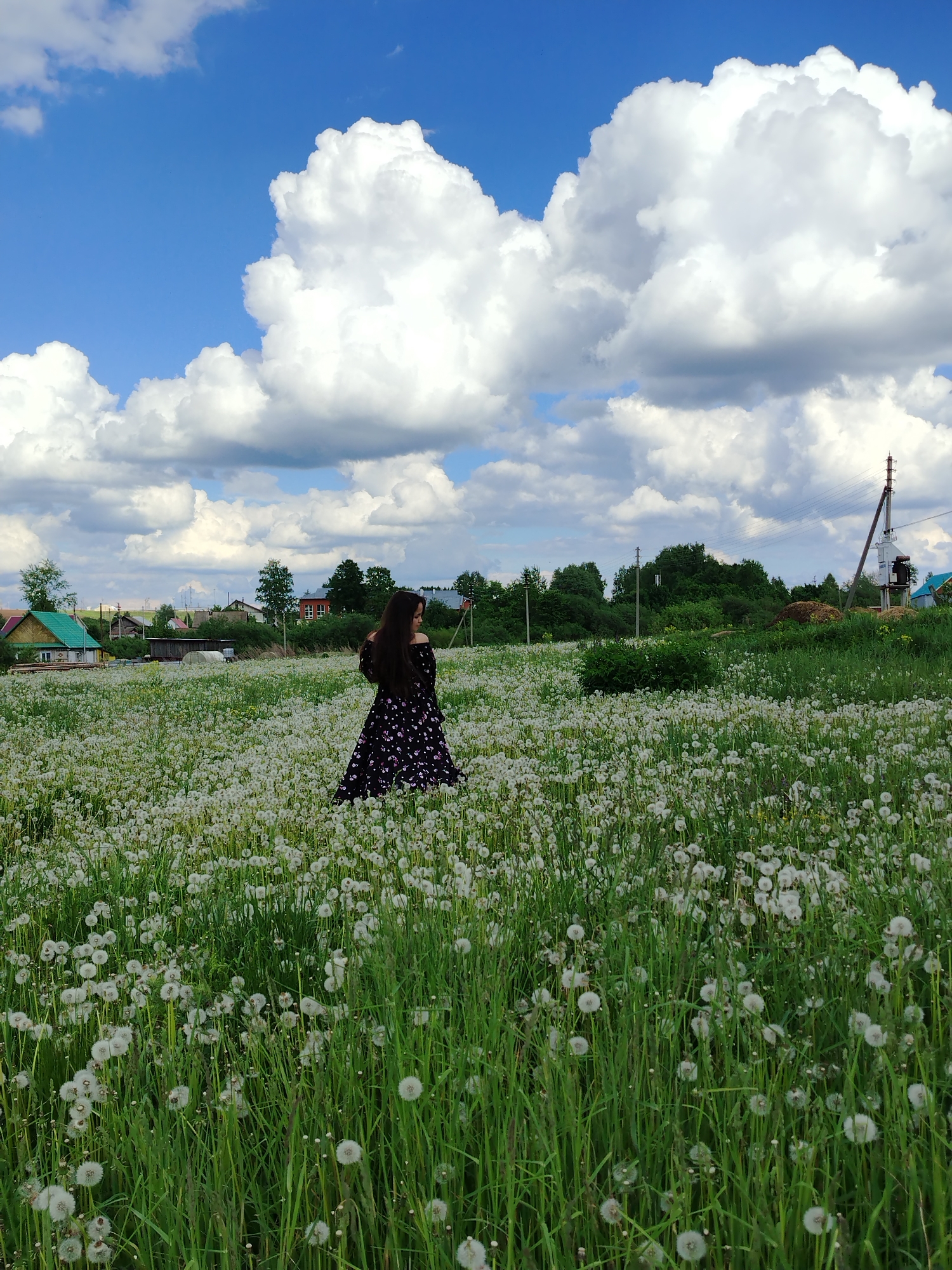The image captures a young woman standing in a field of dandelions in Гожан, Russia. The field is dominated by dandelions interspersed with green grass, creating a mix of white and green textures. The woman is wearing a dark-colored, floral-patterned, off-the-shoulder dress. She is facing away from the camera, her dark hair falling down her back. In the background, there are houses and trees, providing context for the location. A utility pole with power lines is visible on the right side of the image. The sky is blue with large, fluffy white clouds, suggesting a bright day.
