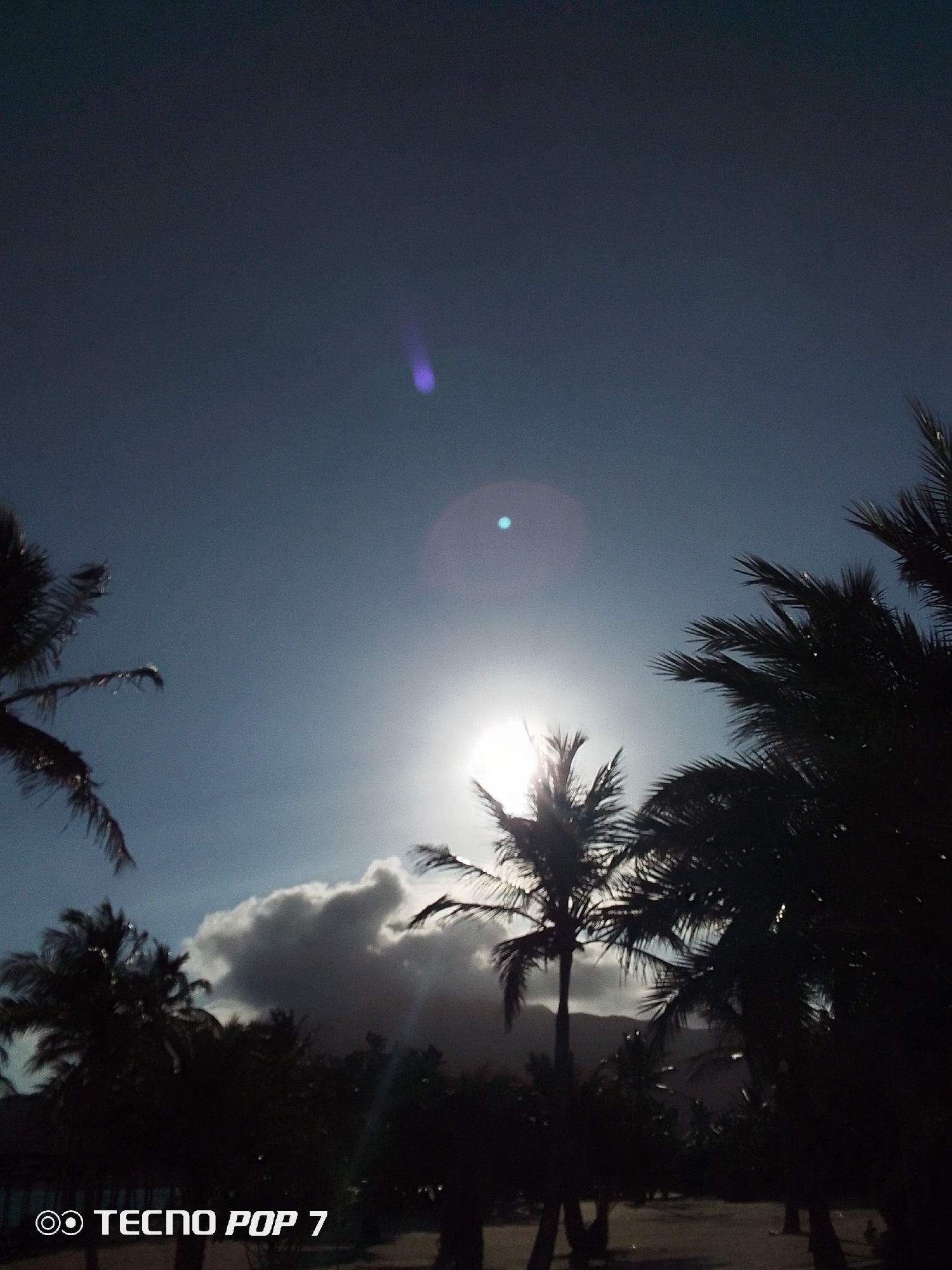 The image shows a silhouette of palm trees against a bright sky with the sun shining through the leaves. There is a large cloud behind one of the trees, and a lens flare is visible in the sky. The location is likely Pedro González, Venezuela based on the prompt. The presence of palm trees suggests a coastal environment.