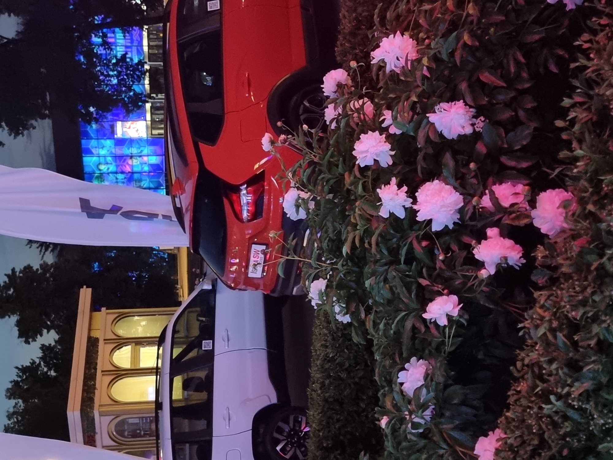 The image depicts an outdoor scene at dusk, likely in Moscow, Russia, with two cars parked in front of a building illuminated with blue lights. The foreground is filled with a dense display of pink and white peonies in bloom. Behind the flowers, a white SUV is parked to the left, and a red hatchback is parked to the right. The red hatchback has a license plate with the inscription "LADA" and "IS GRA SW". In the background, a building with a striking blue facade, possibly a theater or entertainment venue, displays various images or patterns. Trees are visible behind the building and to the right, with a hint of a dark sky above. To the left, a small, ornate structure with arched windows and a light-colored roof is partially visible. White banners, one with a dark logo, are also present in the frame, suggesting a promotional event or exhibition. No people are clearly visible in the image.