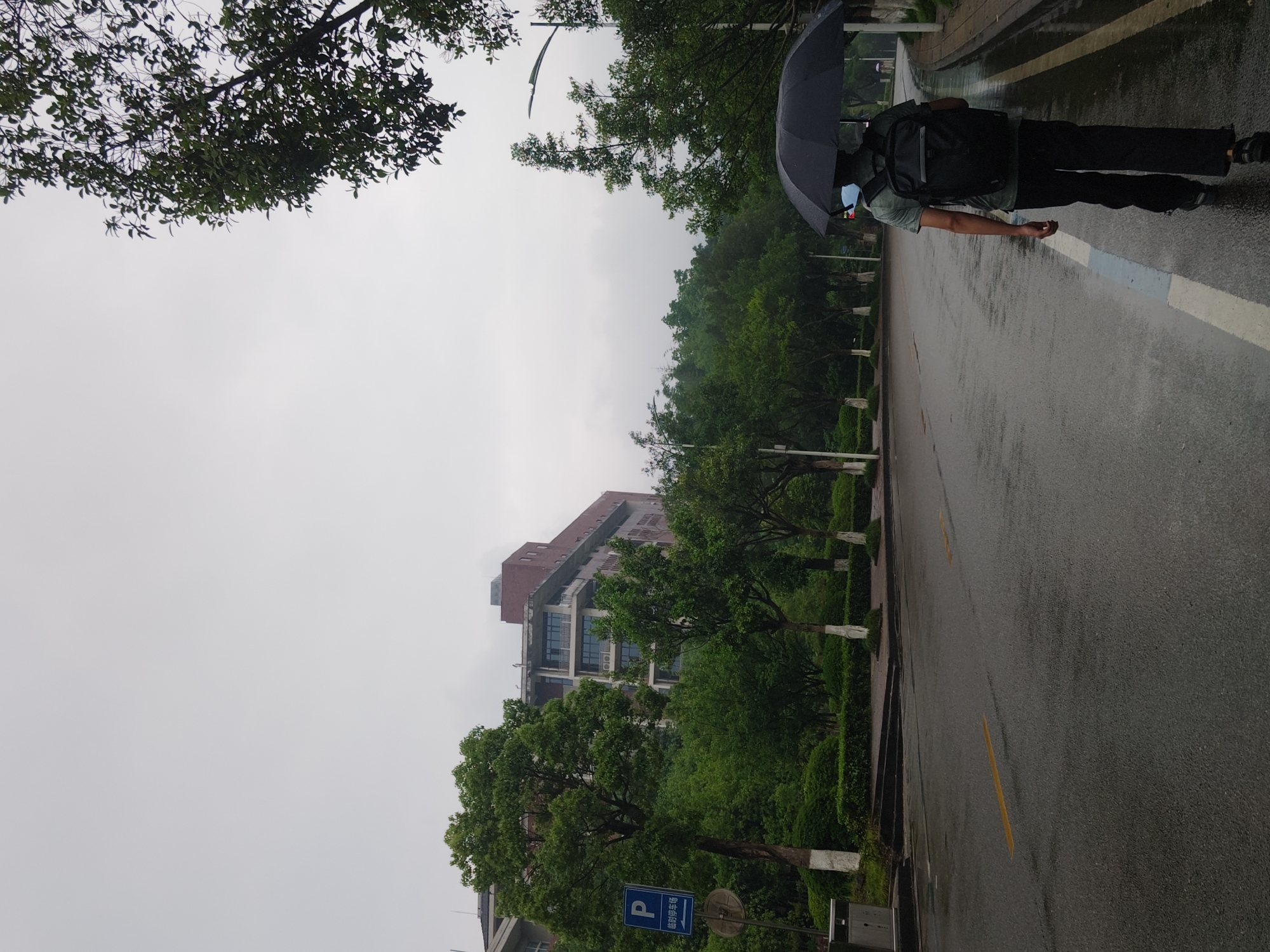 A person with an umbrella and a backpack is walking on a wet road in the Chongqing High-tech Zone in China. The road has a blue line and a yellow line. Trees line the road on one side. In the background is a building. The sky is overcast.