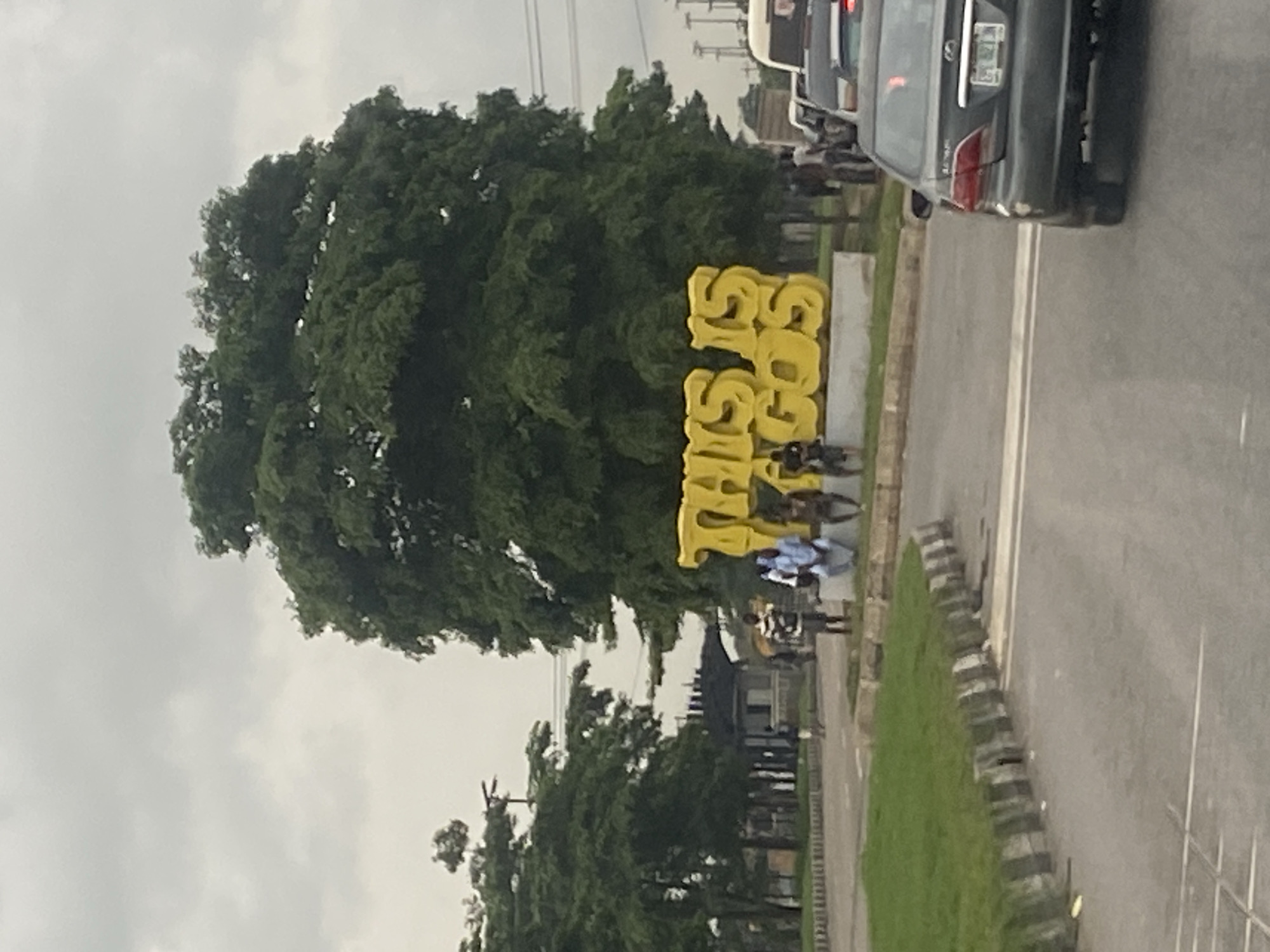 A gray, cloudy day unfolds in Ikeja, Nigeria, where a large, yellow sign displaying the words "THIS IS LAGOS" stands prominently. The sign, made of thick, stylized letters, is situated in front of a massive, verdant tree. Several individuals are gathered around the sign. Two men in light blue traditional attire sit on a low wall to the right of the sign, while another man in a striped shirt stands nearby. Two other individuals, one in dark clothing and another in a striped shirt, are also visible in the vicinity.
The scene is a street with paved roads and a grassy median bordered by concrete and metal barriers. A dark-colored sedan is the closest vehicle in the foreground, with its rear facing the viewer. Further down the road, a white bus and other vehicles are partially visible, suggesting traffic. Trees line the background, and what appears to be a gate or entrance structure is seen between two large trees on the left side of the image. The overall impression is of a public space in a bustling urban environment.