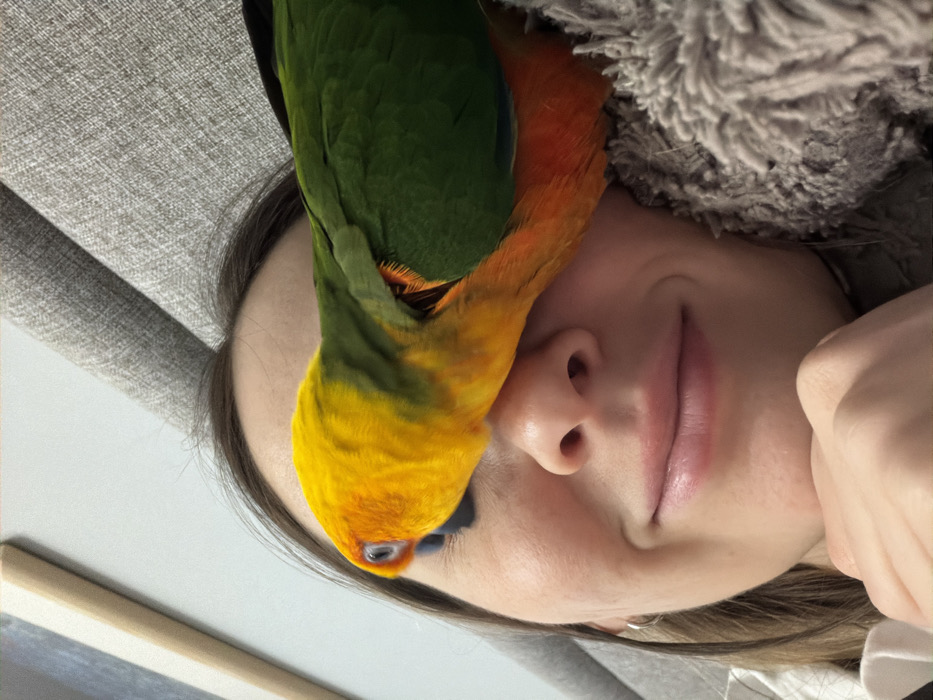 A close-up image captures a female individual with a vibrant parrot resting on her face. The female, positioned on the left side of the frame, has brown hair and fair skin. Her visible left eye is open, and she exhibits a subtle smile with closed lips. Her left hand is partially visible, supporting her chin. She wears a small silver hoop earring in her left ear. A sun conure parrot, characterized by its bright yellow head, orange chest, and green wings with visible orange underwing feathers, is positioned across the female's face, obscuring her right eye and extending towards her left cheek. The parrot's black beak is visible near her left eye. The background consists of a textured grey fabric, likely a pillow or blanket, on the right side and behind the female's head, and a plain light-colored wall with a partial view of a light-toned frame in the upper left. The scene is indoors. The specific location within Elino, Russia, cannot be determined from the image.