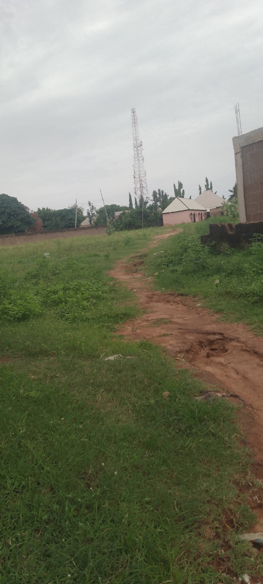 An outdoor, eye-level shot captures a rural scene with a dirt path winding through overgrown grass in the foreground. In the midground, a few small, pink-hued buildings with white roofs are visible, interspersed with trees and a brick wall. A tall telecommunications tower stands prominently behind these structures. To the far right, a portion of a dark, brick building is visible. The sky is overcast with clouds. The scene appears to be located in Jalingo, Nigeria, given the architectural style and vegetation. No people are present in the image.