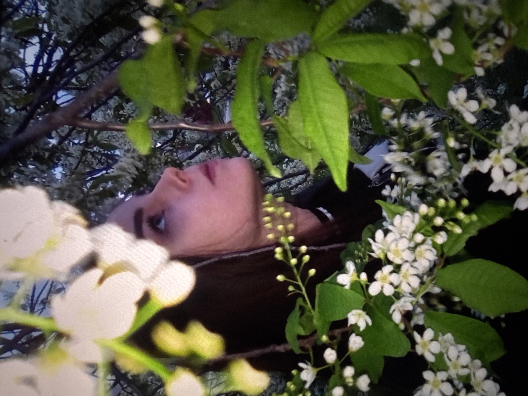 A person is lying on the ground, looking up through a flowering tree or shrub. The person has fair skin, dark hair, and is wearing a dark-colored shirt or jacket. The branches of the tree are filled with small white flowers and green leaves. The angle of the shot is looking up from below, creating a sense of immersion in the natural environment. The location is unknown, and the claim that it's in Solikamsk, Russia, cannot be confirmed from this image.