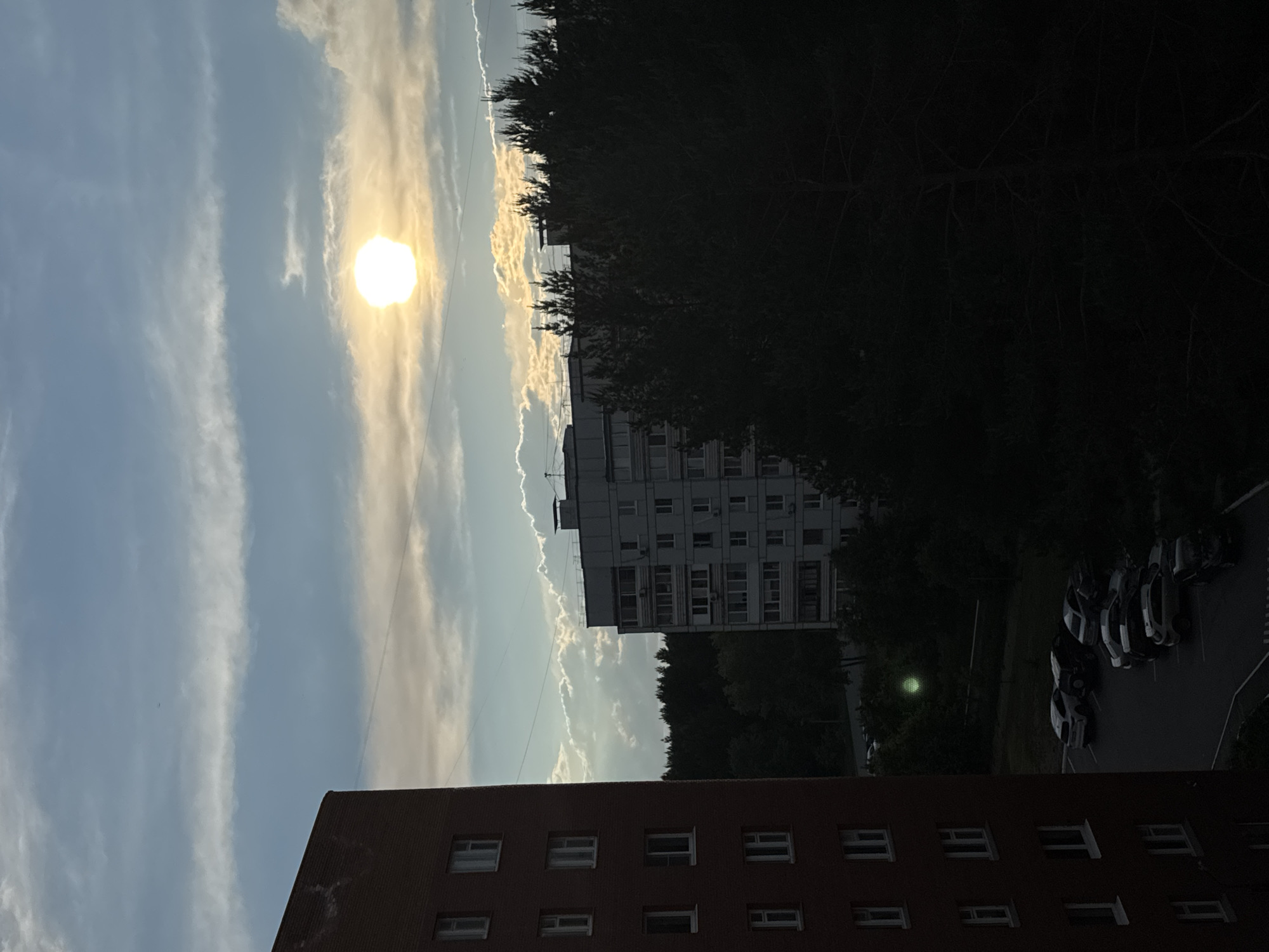 The image presents an outdoor urban scene, likely photographed in the city of Chaikovsky, Russia, based on architectural and environmental cues. The sky is a light blue, striated with long, thin clouds and the sun partially obscured. The sun appears as a bright, slightly diffused orb.
Below the sky, the scene is dominated by buildings. The lower portion of the image shows a section of a brick building with multiple rectangular windows. Higher in the frame, a taller, multi-story building with a grey façade and numerous windows is visible, partially obscured by dark green trees. These trees border the building.
To the right of the taller building, a dark green area is present, suggesting more trees. This area leads to a section showing parked cars, implying a parking lot.
Overall, the scene seems to capture a cityscape in Chaikovsky during daylight hours. The image contains elements of sky, sunlight, architecture, and vehicles.