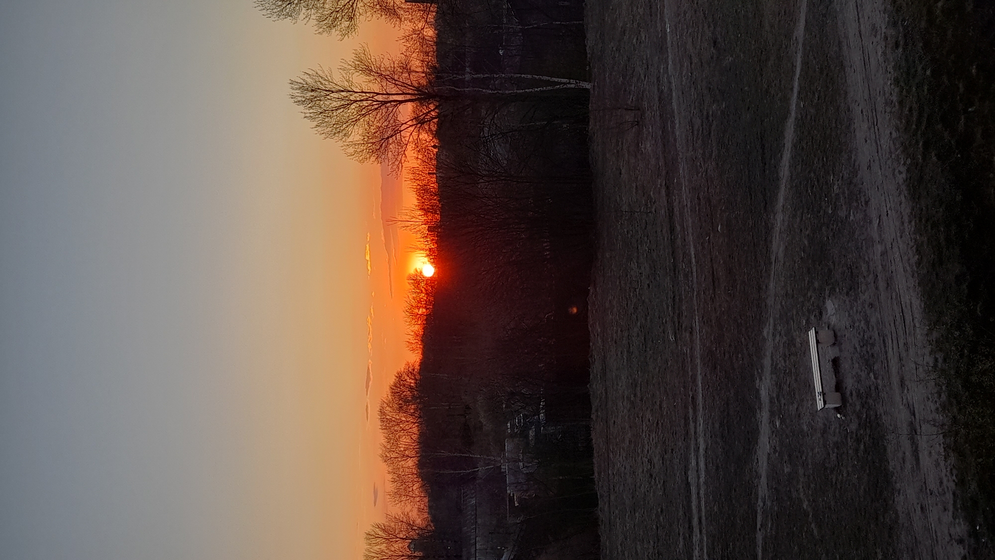 The image shows a sunset in what appears to be a park or field. The sun is setting behind a line of trees, casting an orange glow on the sky. The foreground is dark and appears to be a grassy area with some paths. There is a wooden bench present in the lower right. The image does not provide any information that would allow for identification of the location in Saint Petersburg, Russia.