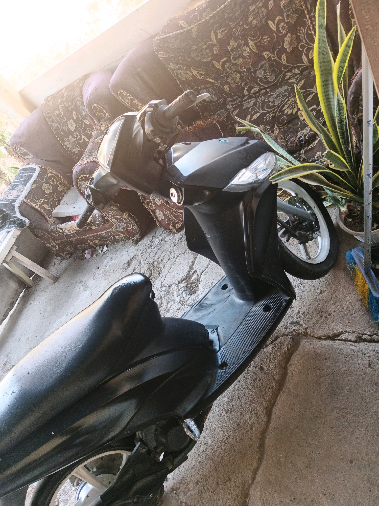 In Padengo, Indonesia, a black scooter is parked on a cracked concrete surface. The scooter is positioned diagonally in the frame, with its front end towards the upper left and its rear end towards the lower right. The scooter has a black seat and black body panels. A white wheel with silver spokes and a black tire is visible on the right side of the scooter.
Behind the scooter, a patterned sofa with floral designs in shades of brown and purple is visible. A snake plant with long, variegated green and yellow leaves is in a pot to the right of the sofa. The environment appears to be an outdoor or semi-outdoor area, possibly a yard or a patio, with sunlight casting a warm glow on the scene from the upper left. A wooden stool with a white object on it is partially visible to the left of the sofa.