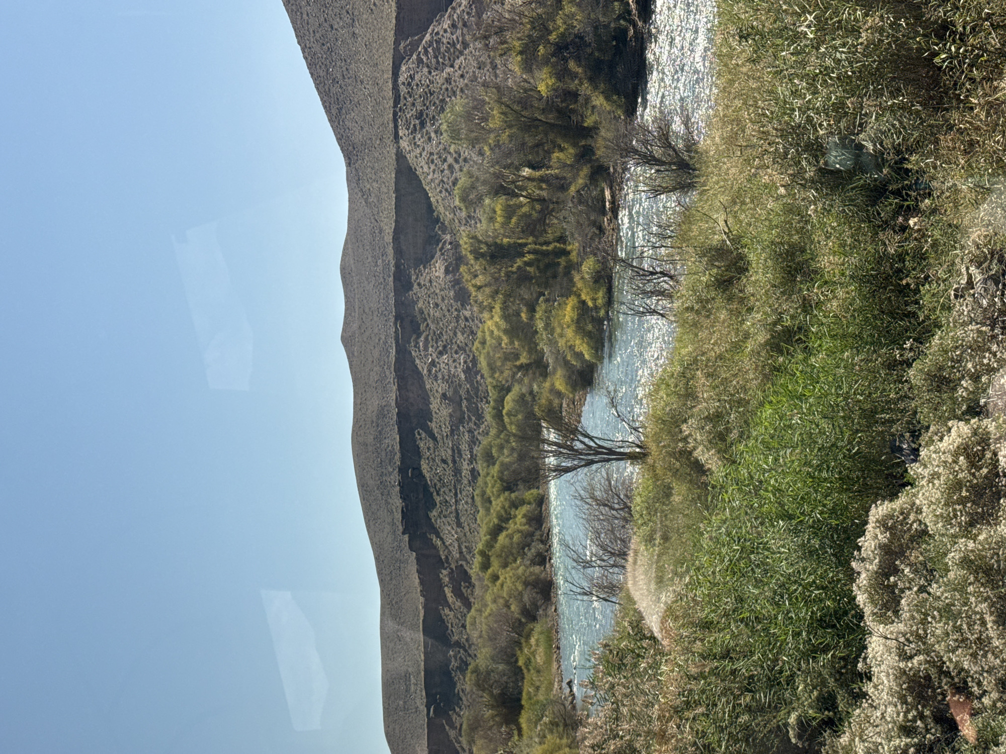 A wide-angle, landscape photograph captures a sunlit scene of a river valley. The sky is a clear, pale blue with faint, horizontal reflections of an unknown structure visible on the upper portion of the image, likely from a window. In the middle ground, a river with shimmering, bright blue water flows from left to right. The riverbanks are lined with dense, green foliage and trees, some of which have yellowing leaves, suggesting autumn. The terrain rises into undulating, barren hills in the background, characterized by dry, rocky slopes and sparse vegetation. The foreground is dominated by a thick growth of tall, green reeds and lighter-colored, fluffy plants. No people or animals are visible in the scene. The overall impression is one of a natural, semi-arid environment under a bright sky. This scene depicts the natural landscape near the city of Kok Moynok Eki, Kyrgyzstan.