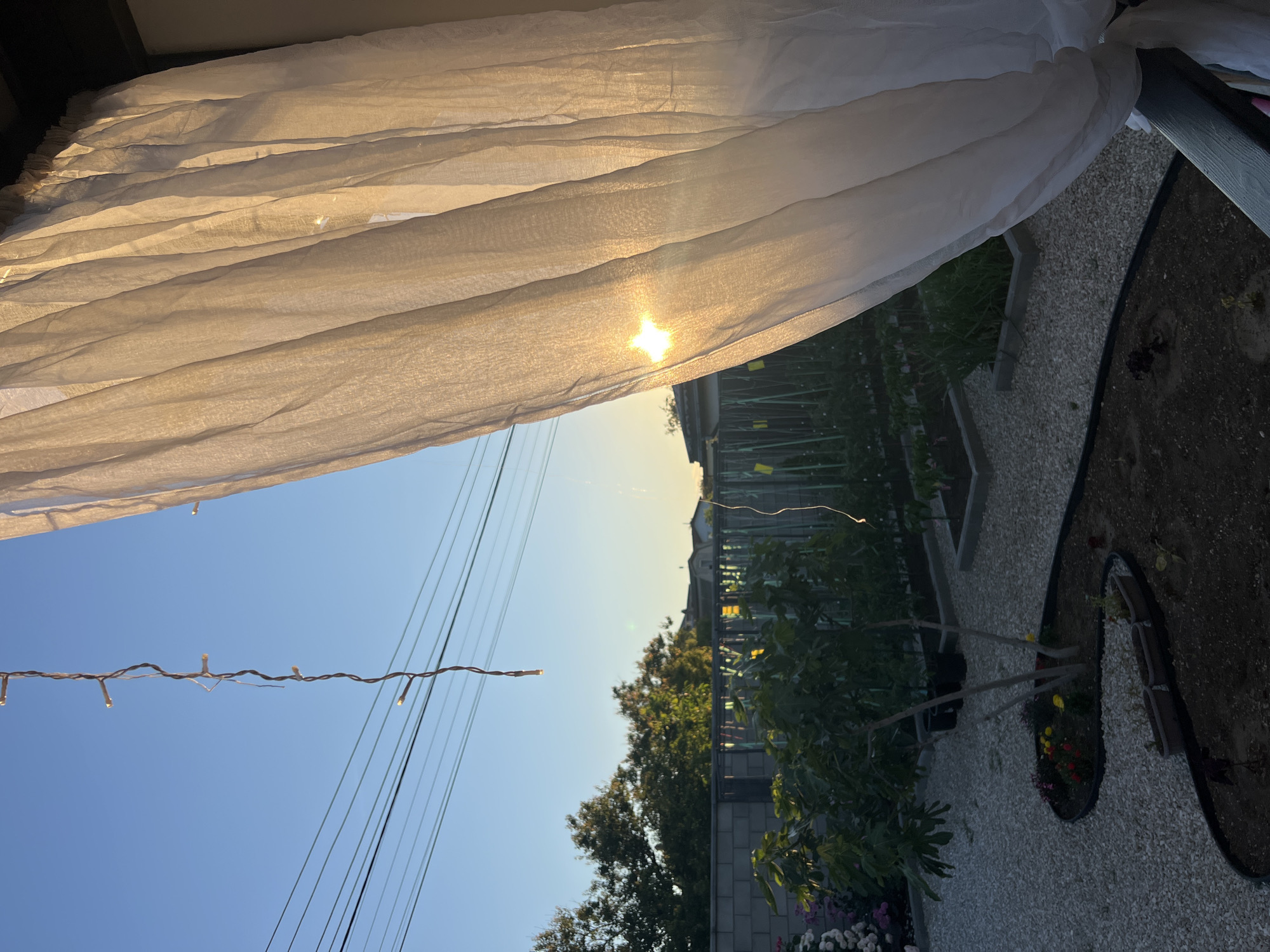 The image depicts a backyard scene at sunset, viewed through a sheer white curtain. The curtain, which drapes from the right side of the frame, is illuminated by the setting sun, creating a soft glow and highlighting its texture. A distinct starburst effect from the sun is visible through the fabric.
Beyond the curtain, the backyard contains several raised garden beds, a small tree, and gravel pathways. A low-slung brick wall borders a section of the yard. In the distance, trees and houses are visible against a clear, pale blue sky. Overhead, power lines crisscross the sky, and a string of small, unlit fairy lights hangs vertically. The overall impression is one of a peaceful evening in a residential area.