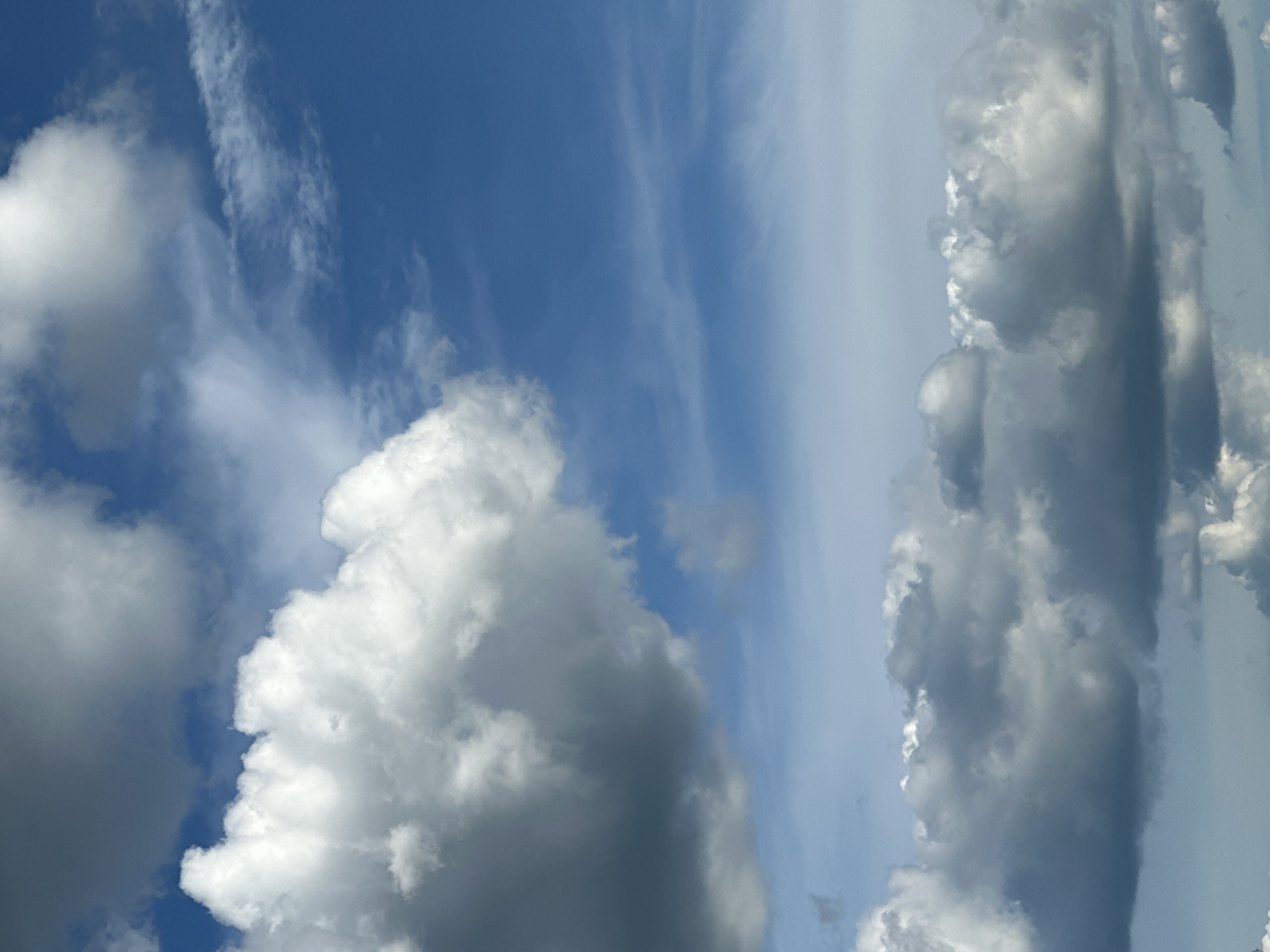 The image is a vertical shot of a cloudy sky. The sky is a vibrant blue with varying shades of white and grey clouds. In the foreground, large, puffy white clouds dominate the left side of the frame, casting shadows on themselves and creating a sense of depth. Further back, a band of darker, more diffused grey clouds stretches across the middle of the image, with hints of lighter clouds above them. The bottom of the frame shows a lighter, less dense layer of clouds, with the sky becoming lighter towards the horizon. The overall impression is of a dynamic and dramatic sky.