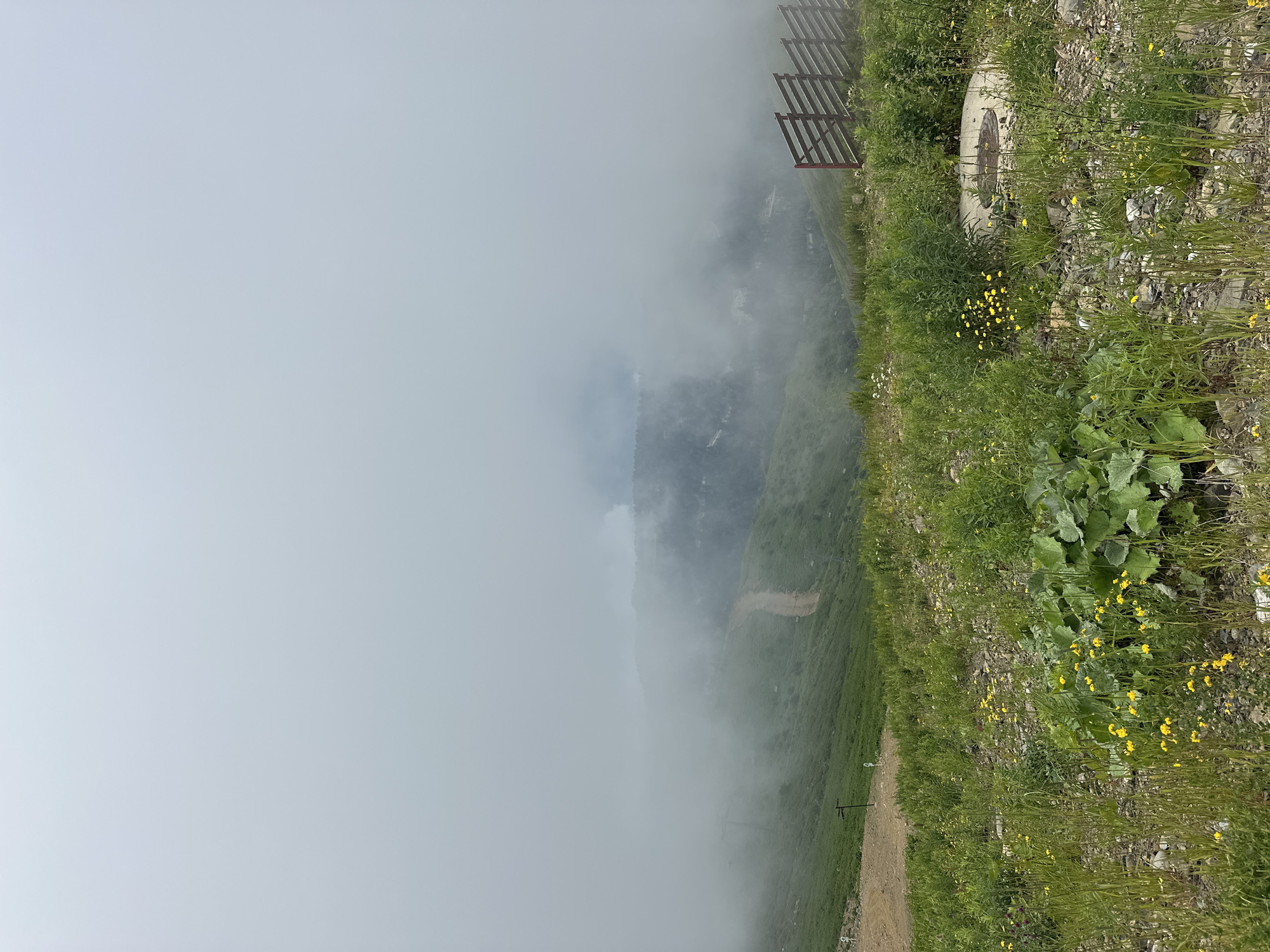 An overcast day in Estosadok, Russia, with heavy fog obscuring the view of the distant mountains and ski slopes. In the foreground, a grassy hill dotted with rocks and small yellow wildflowers slopes downwards. A dirt path winds its way up the hill to the left. To the right, a wooden fence with red posts marks the edge of the property. A concrete manhole cover is visible in the lower right quadrant of the image. The overall scene is one of natural beauty and tranquility, despite the limited visibility caused by the fog.