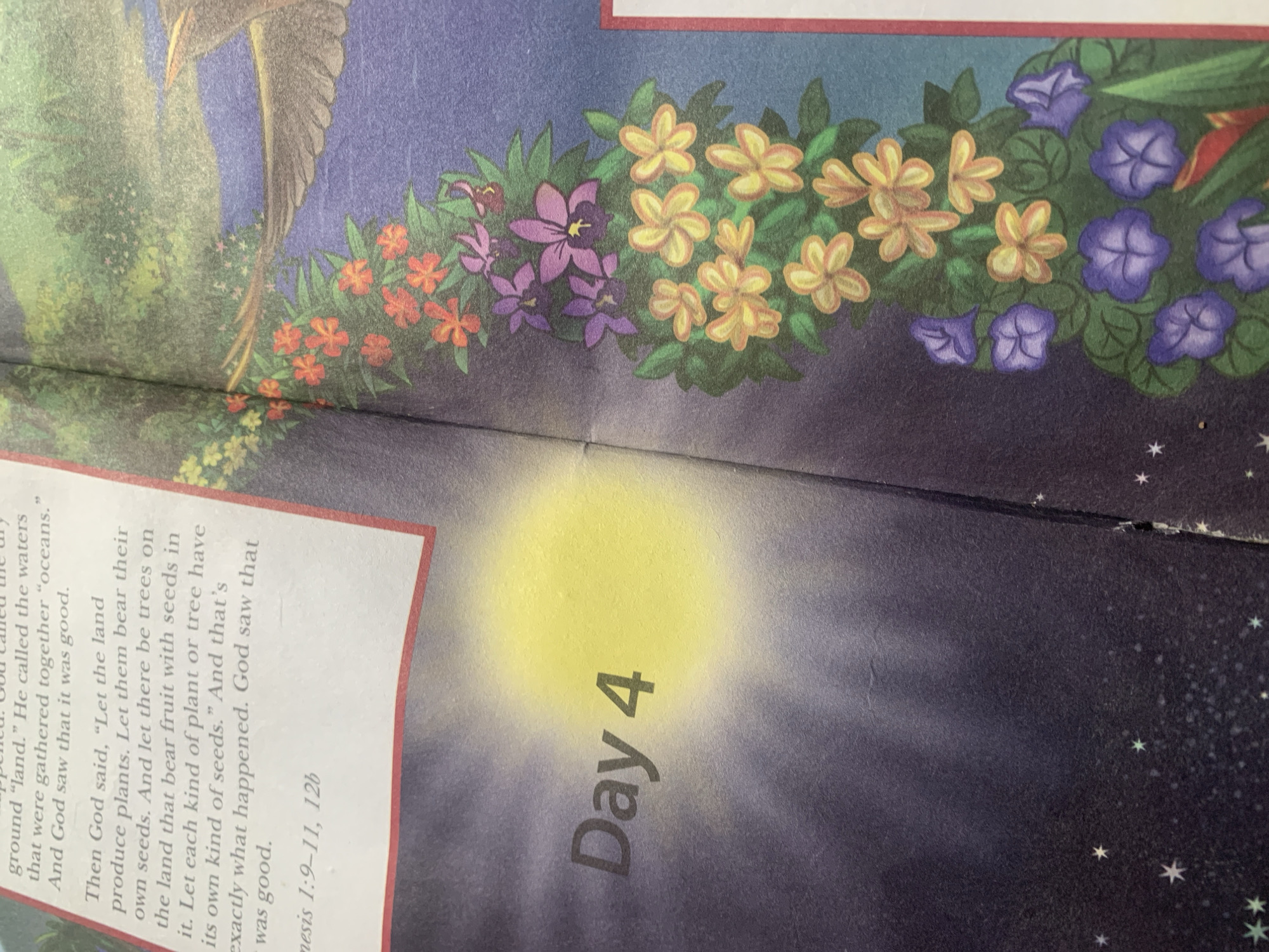 The image displays a page from a book, likely a children's Bible storybook, featuring text and an illustration. The text, in English, is from Genesis 1:9-11, 12b, and describes God's creation of plants and trees. The illustration depicts a lush, colorful scene with flowers and foliage, suggesting a garden or natural landscape. A large, bright yellow circle, possibly representing the sun or a celestial body, is prominent in the background. The words "Day 4" are also visible, aligning with the biblical narrative of creation. The image is a close-up, focusing on the text and the illustrated elements on the right side. There is no information in the image that relates to Jauro Yinu, Nigeria.