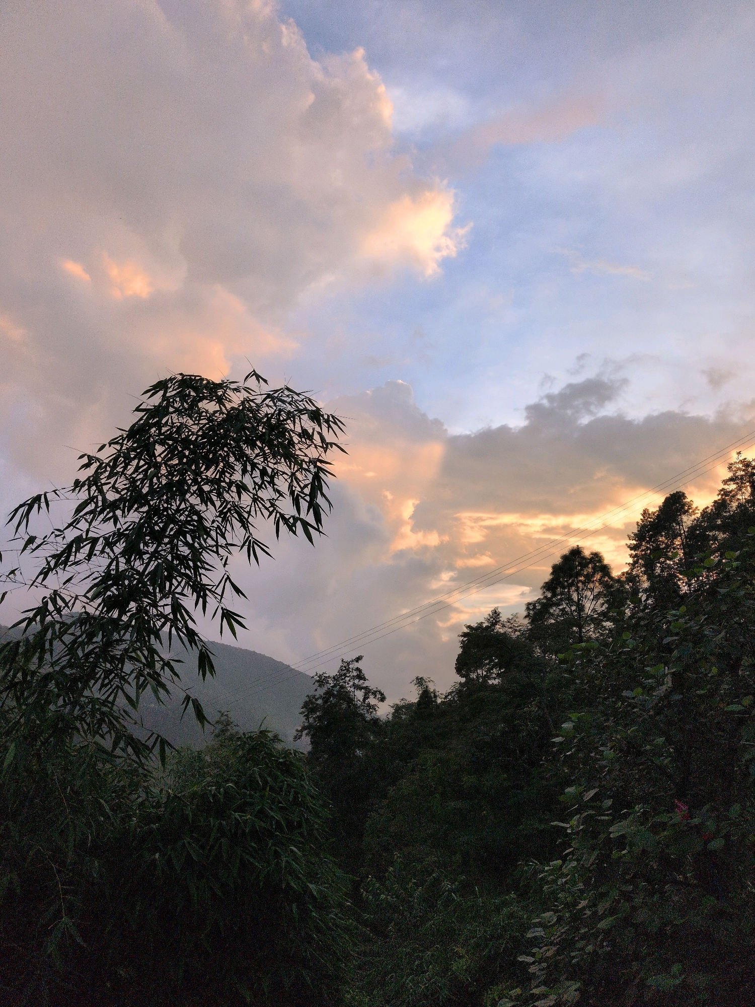 A serene sunset scene unfolds over the lush, hilly landscape of Kapurkot, Nepal. The sky is painted with a gradient of soft pastel hues, transitioning from a pale lavender at the top to a warm, peachy orange where the sun's rays break through the clouds. Wispy, light-colored clouds drift across the sky, with some catching the golden light, creating pockets of luminescence.
In the foreground, a dense canopy of dark green foliage dominates the lower half of the image, suggesting a hillside covered in trees and undergrowth. A prominent branch of bamboo, silhouetted against the sky, extends from the left side of the frame, its long, slender leaves adding a textural element. The trees on the right are also dark and verdant, with the outline of their branches reaching upwards.
In the middle ground, the subtle contour of a mountain range is visible, shrouded in a soft, atmospheric haze, likely due to the distance and the fading light. Faint power lines can be observed stretching horizontally across the mid-ground, indicating the presence of human infrastructure in this natural setting. The overall impression is one of tranquility and the quiet beauty of nature at dusk.