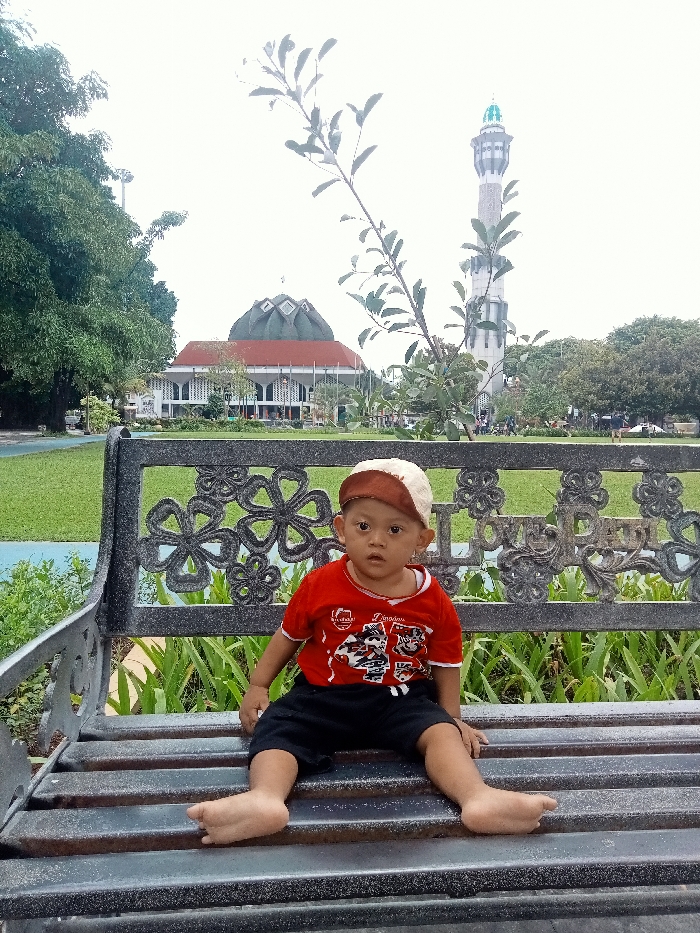 Memory