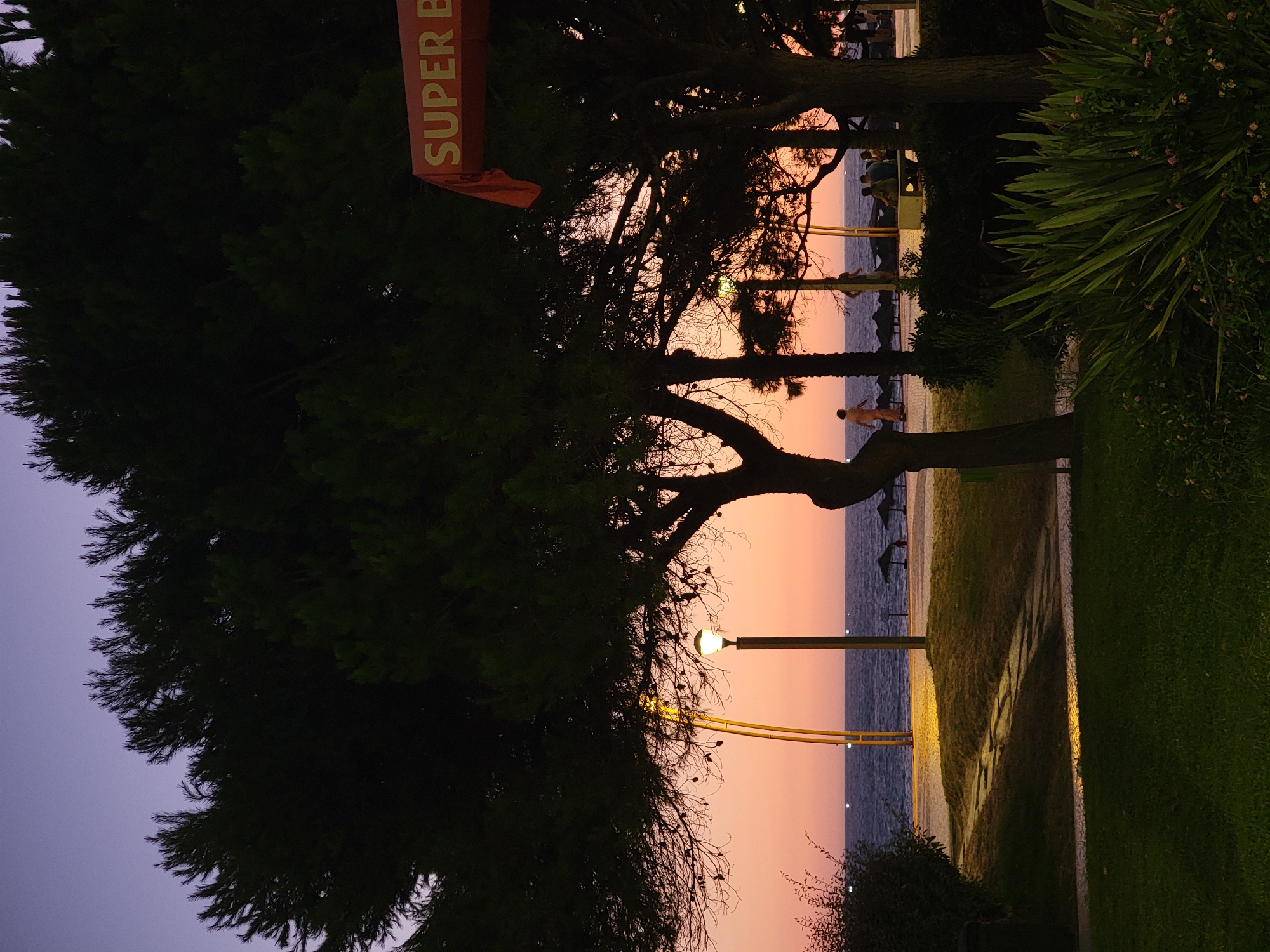 The image depicts a twilight scene at the Quarteira waterfront in Portugal. In the foreground, lush green grass and dense foliage with small pink flowers are visible. A paved walkway with stone accents winds through the landscape, leading towards the beach. Several trees with dark, dense canopies dominate the mid-ground, silhouetted against a gradient sky of deep purple transitioning to soft orange and pink hues.
A street lamp with a warm yellow glow stands prominently near the center of the frame. In the distance, the calm, dark sea stretches towards the horizon, dotted with distant lights. The beach area features several thatched umbrellas and what appears to be a building with a red banner displaying "SUPER B".
Several individuals are present in the scene. One person, appearing to be a man in light-colored clothing, walks along the paved area near the beach. Further in the distance, a small group of people are seated on a bench. The overall atmosphere is serene and peaceful, capturing the transition from day to night.