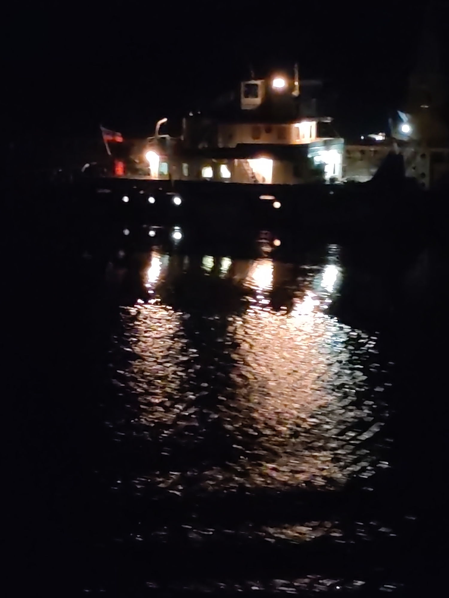A nighttime shot depicts a ship illuminated by multiple lights at an unspecified location near Абрамово, Russia. Reflections of the lights are visible on the water's surface, with the ship appearing as a dark silhouette against the dark sky. A flag is partially visible at the far left side of the vessel. The background is obscured by darkness.