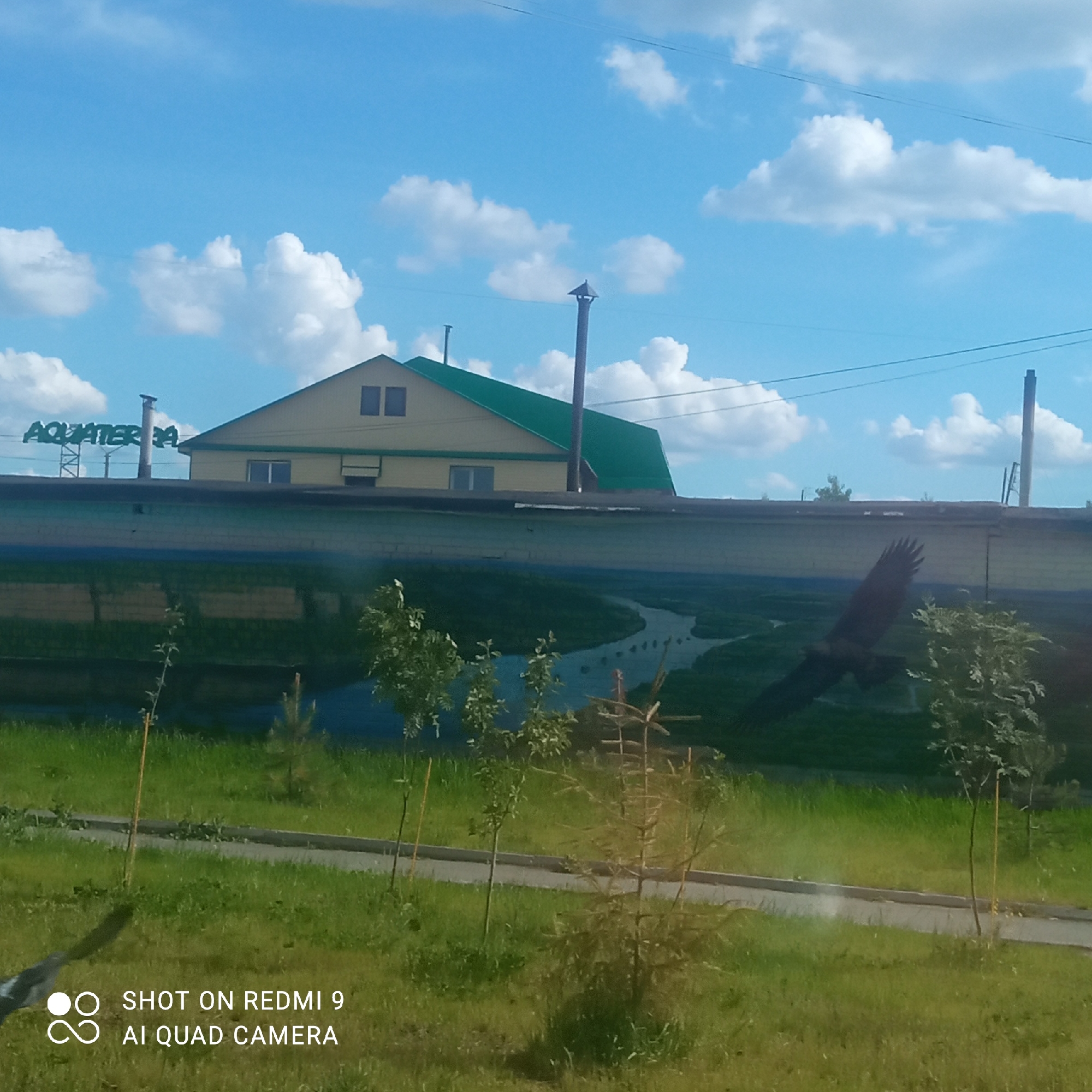 The image depicts a view in the city of Chaikovsky, Russia. In the foreground, there is a grassy area with young trees and a paved path. Above the path, there is a long, low building or structure with a mural painted on it. The mural depicts a river landscape with an eagle in flight. Above this structure, a yellow and green building with the sign "AQUATERRA" on top is visible against a blue sky with scattered clouds. There are two smokestacks extending from the building, and electrical wires are faintly visible running across the top portion of the image. The bottom left corner displays a camera watermark: "SHOT ON REDMI 9 AI QUAD CAMERA".